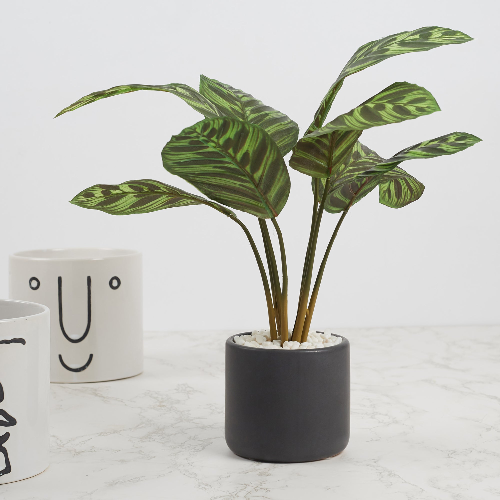 Ilana Faux Calathea Ceramic Potted Plant 42 Cm in Green Colour