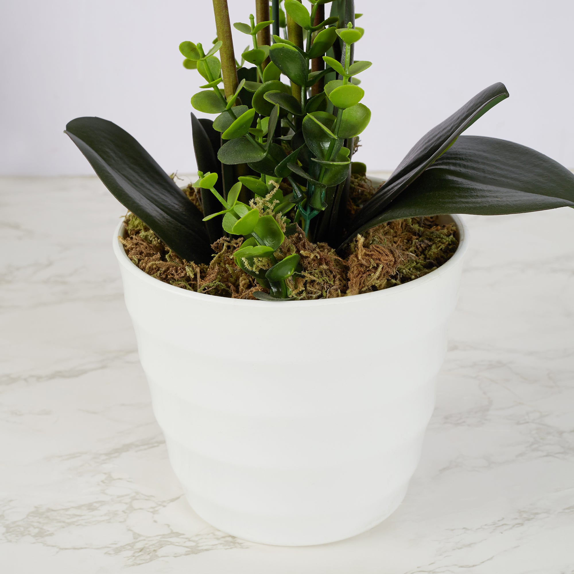 Ilana Artificial Orchid Potted Plant 75Cm in White Colour