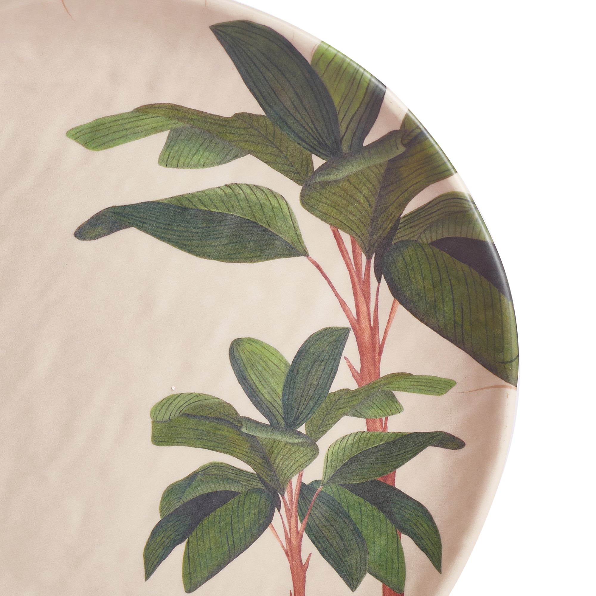 Living Essence Oasis Dinner Plate 10.5 inch Set of 2Pcs