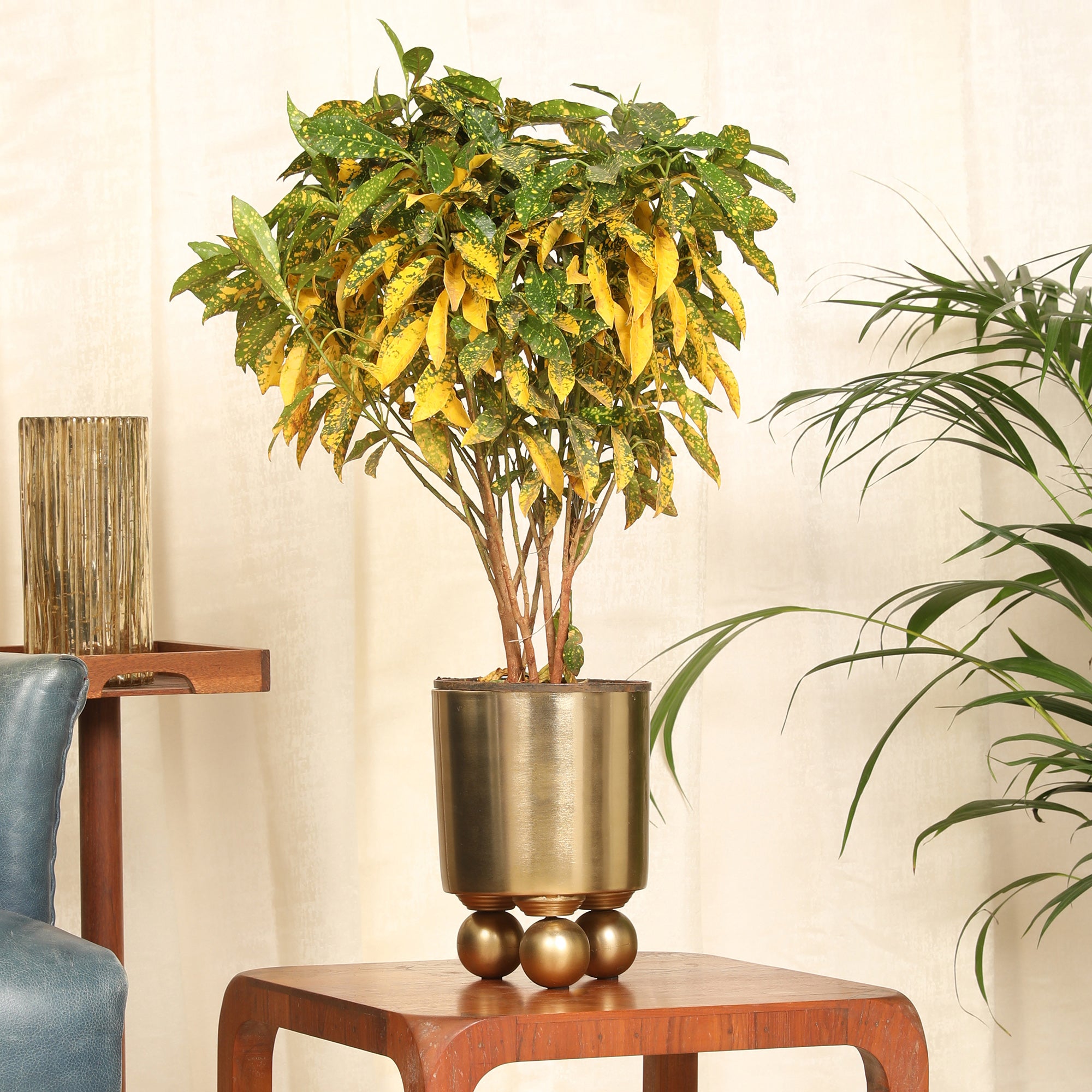 Cosmos Metal Planter 20 cm in Gold Colour