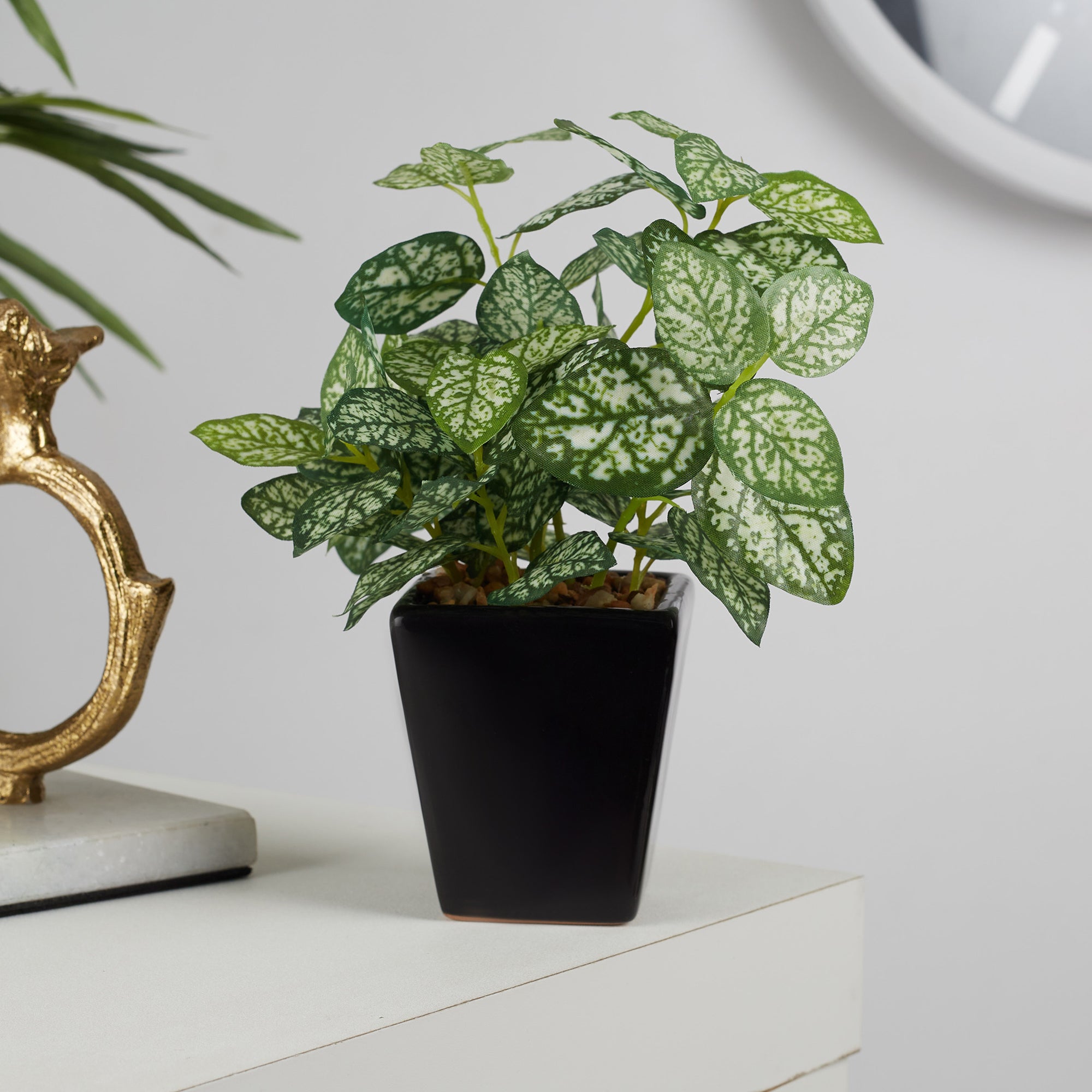 Ilana Faux Hypoestes Ceramic Potted Plant 19 Cm in Green Colour
