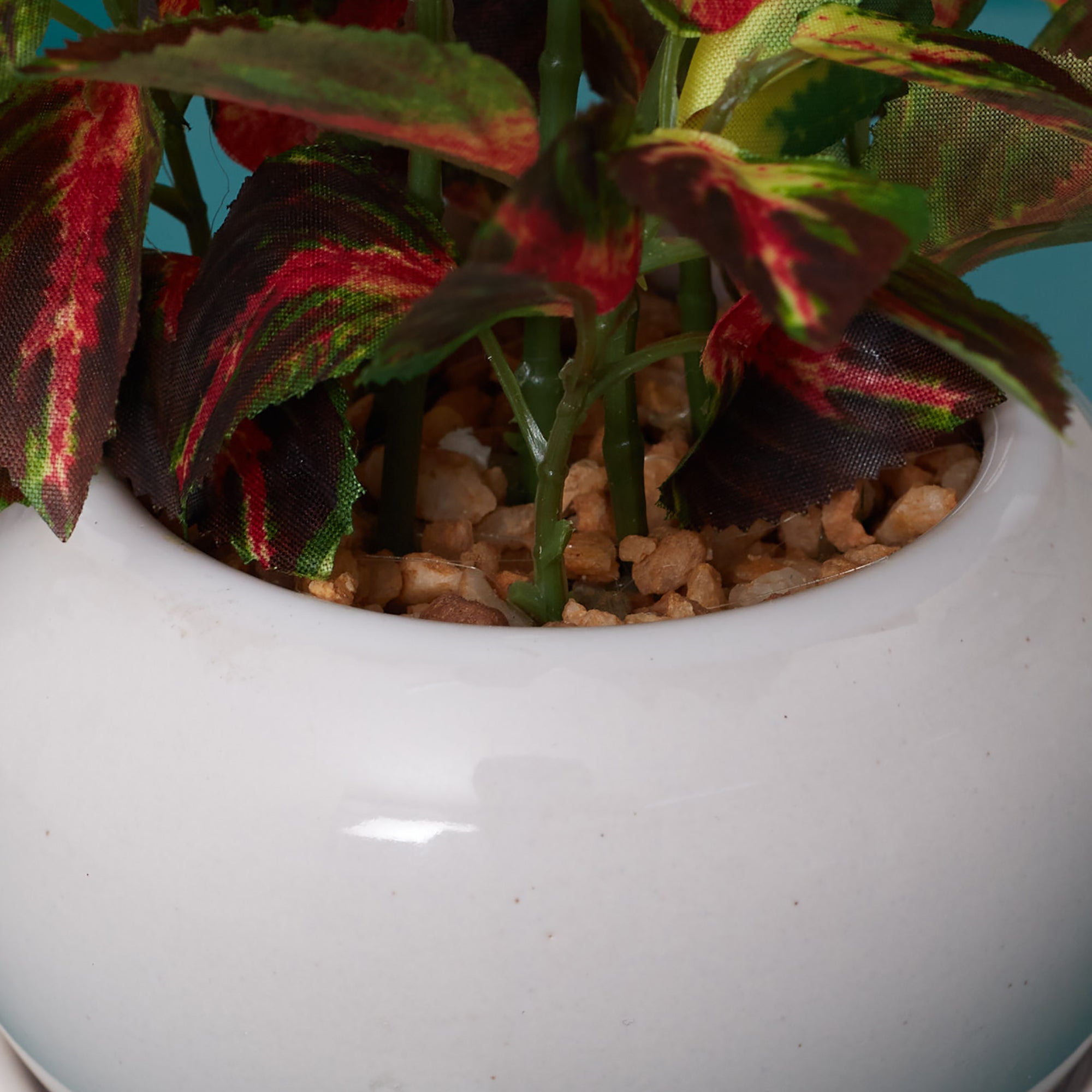 Ilana Faux Coleus Ceramic Potted Plant 24 Cm in Green Colour