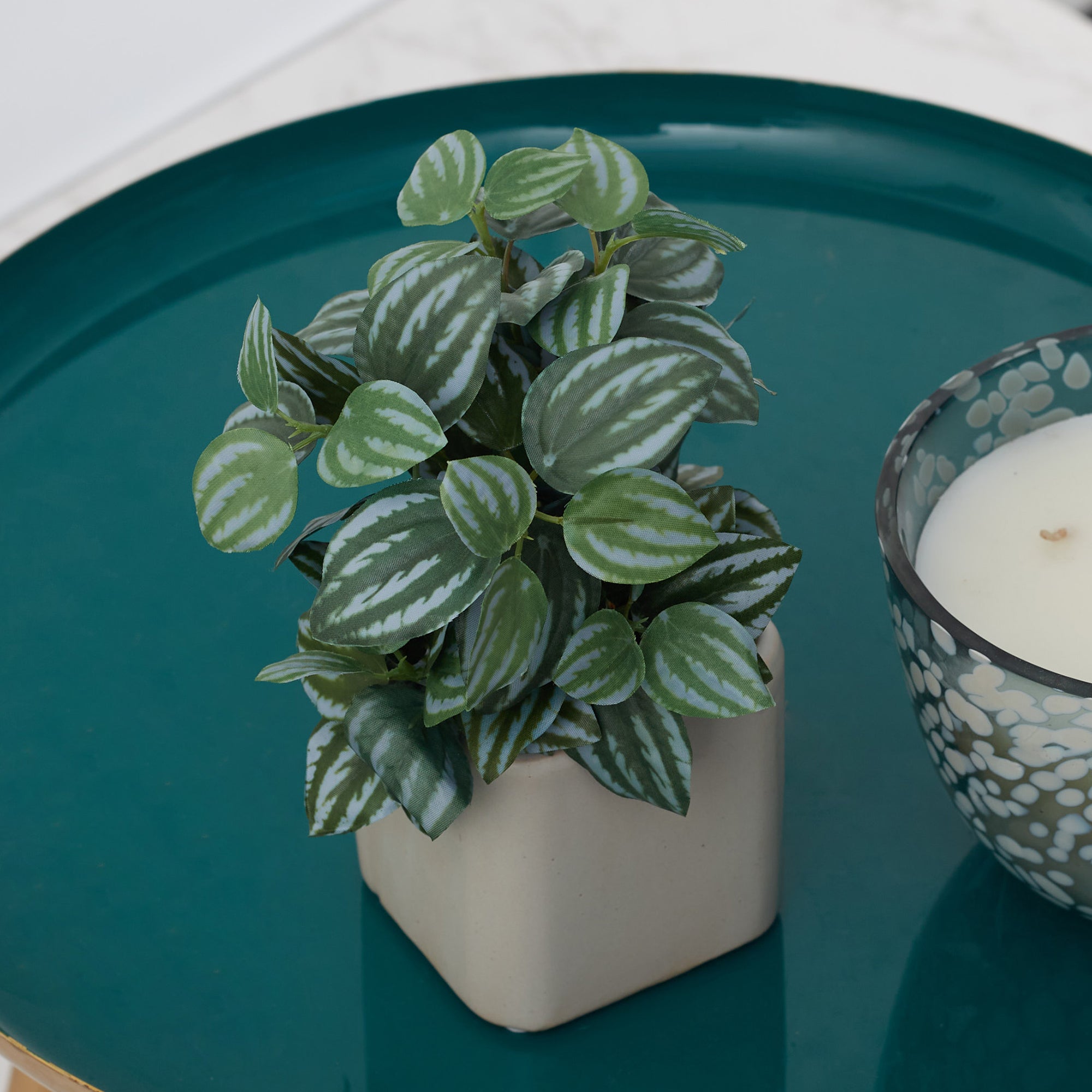 Ilana Faux Peperomia Ceramic Potted Plant 20 Cm in Green Colour
