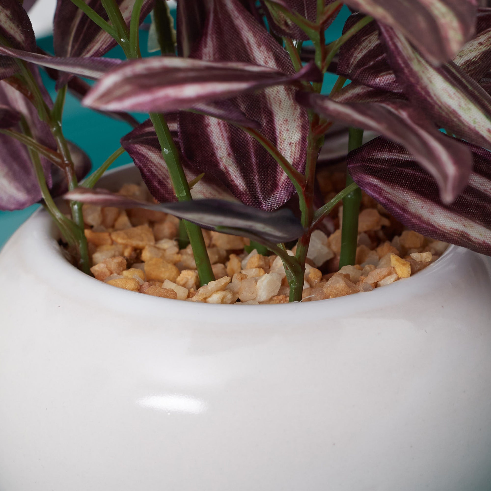 Ilana  Faux Wandering Jew Ceramic Potted Plant 24 Cm in Green Colour
