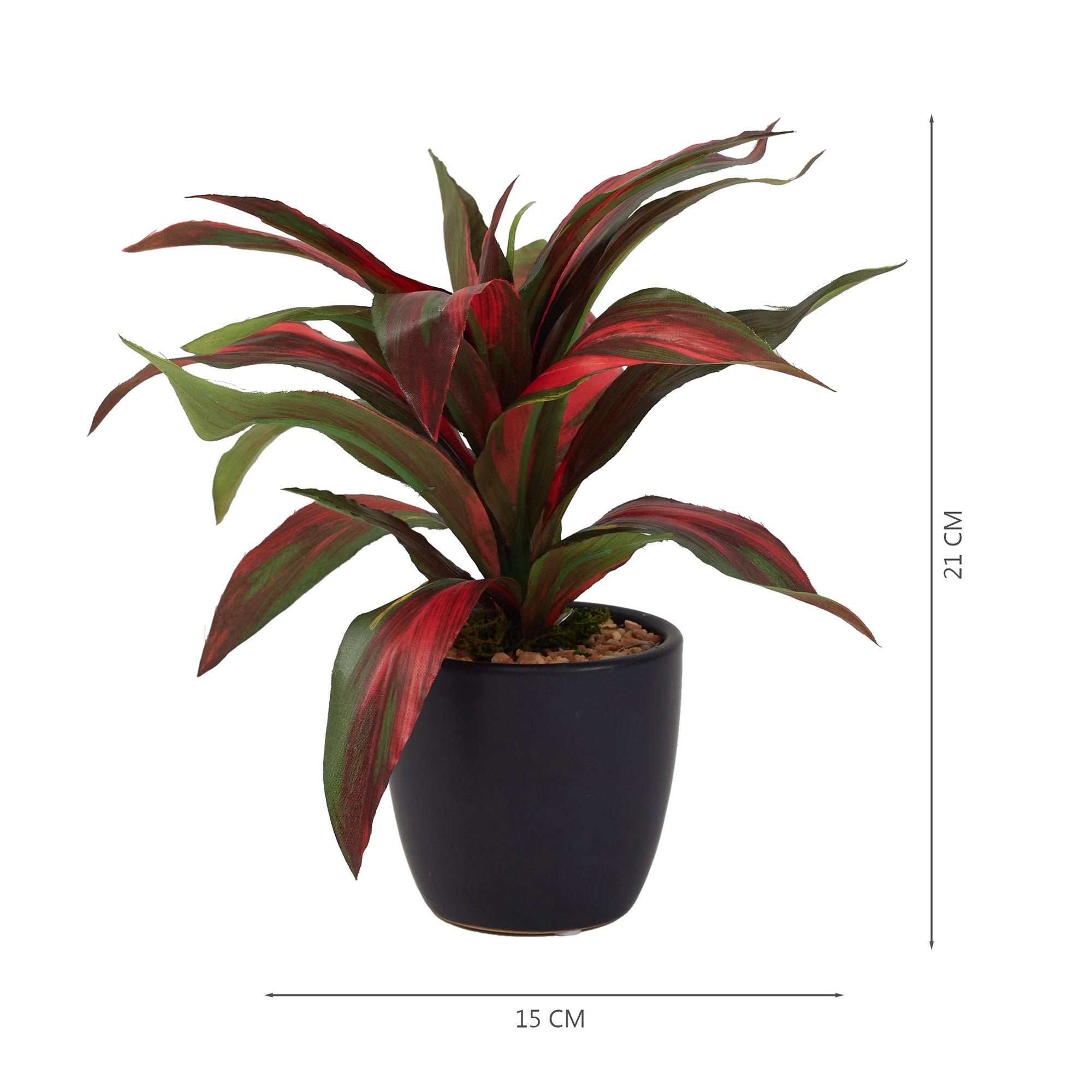 Ilana Faux Dracaena Ceramic Potted Plant 21 Cm in Green Colour