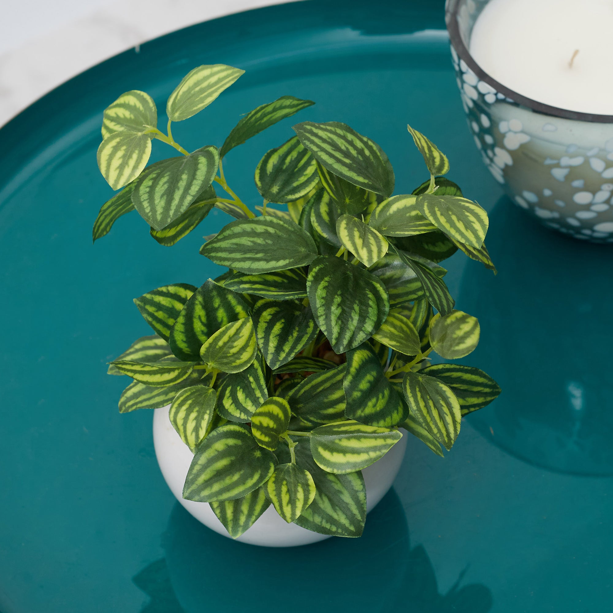 Ilana  Faux Peperomia Ceramic Potted Plant 17 Cm in Green Colour