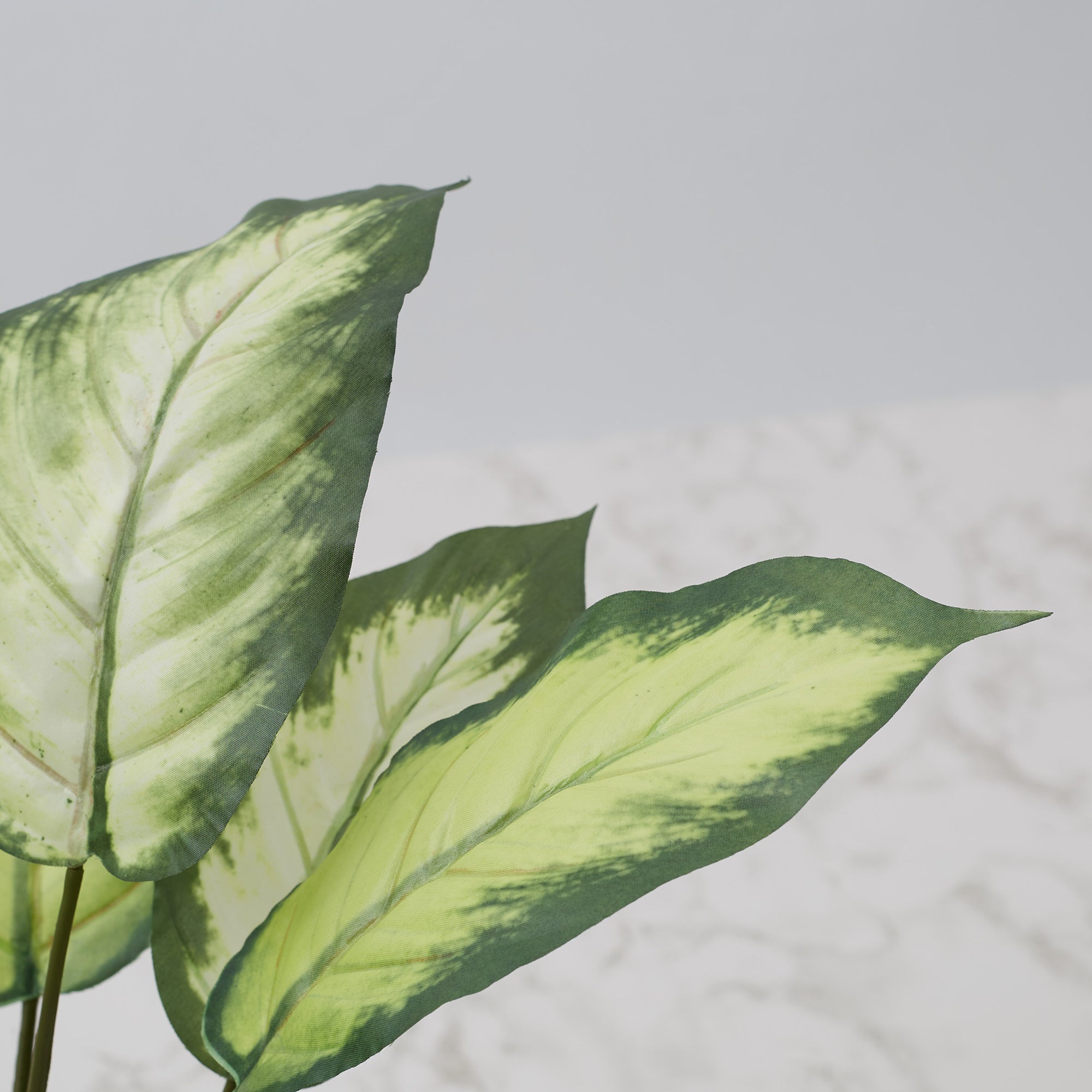 Ilana Faux Dieffenbachia Ceramic Potted Plant 42 Cm in Green Colour