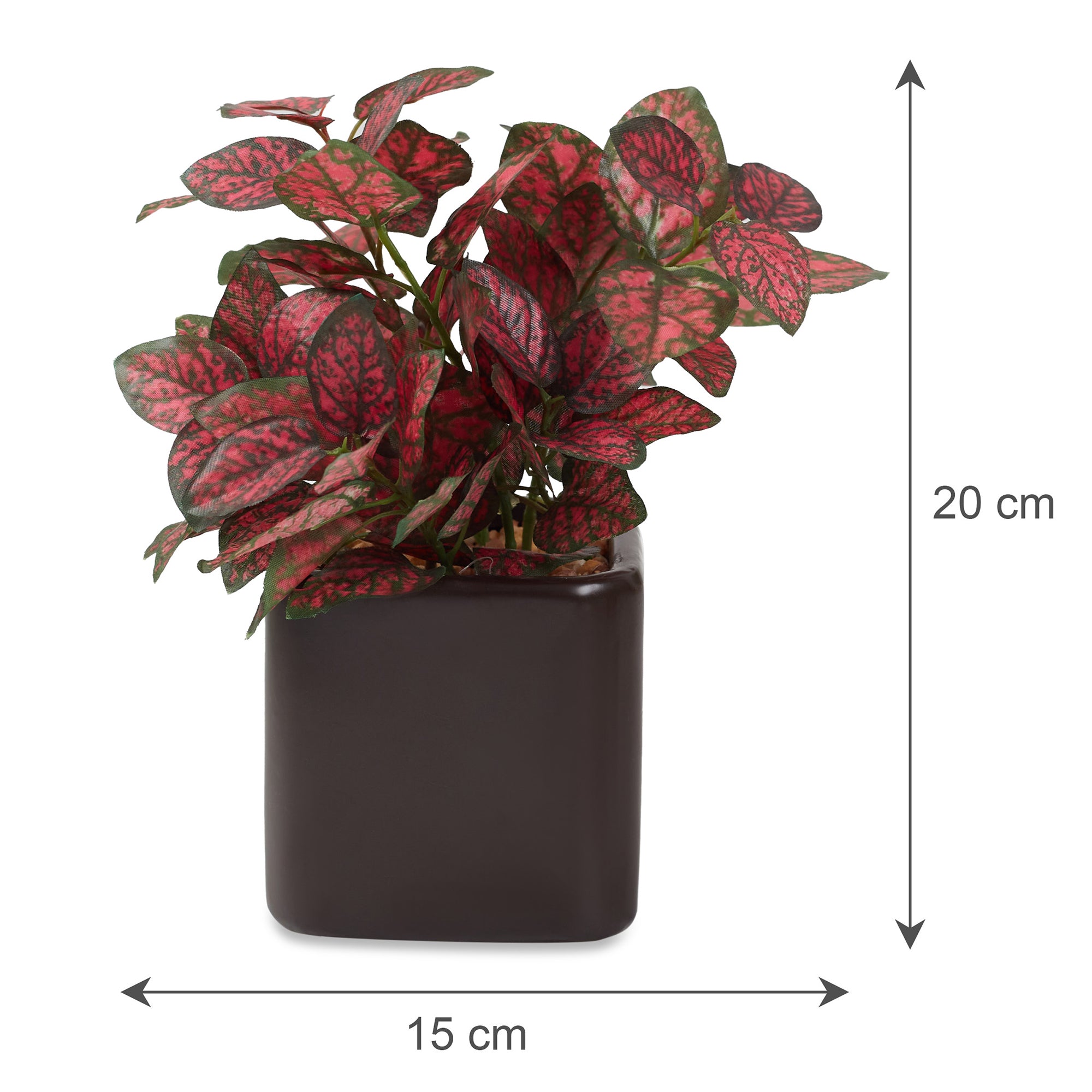 Ilana Faux Hypoestes Ceramic Potted Plant 20 Cm in Red Colour