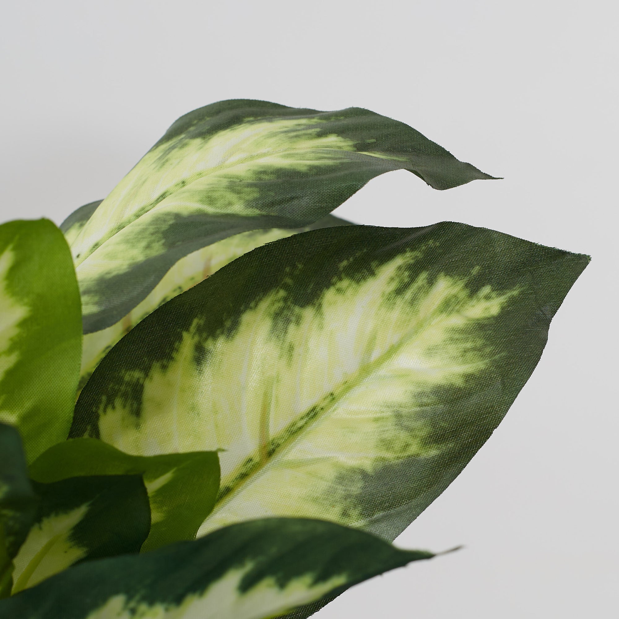 Ilana Faux Dieffnbchia 2 Ceramic Potted Plant 25 Cm in Green Colour
