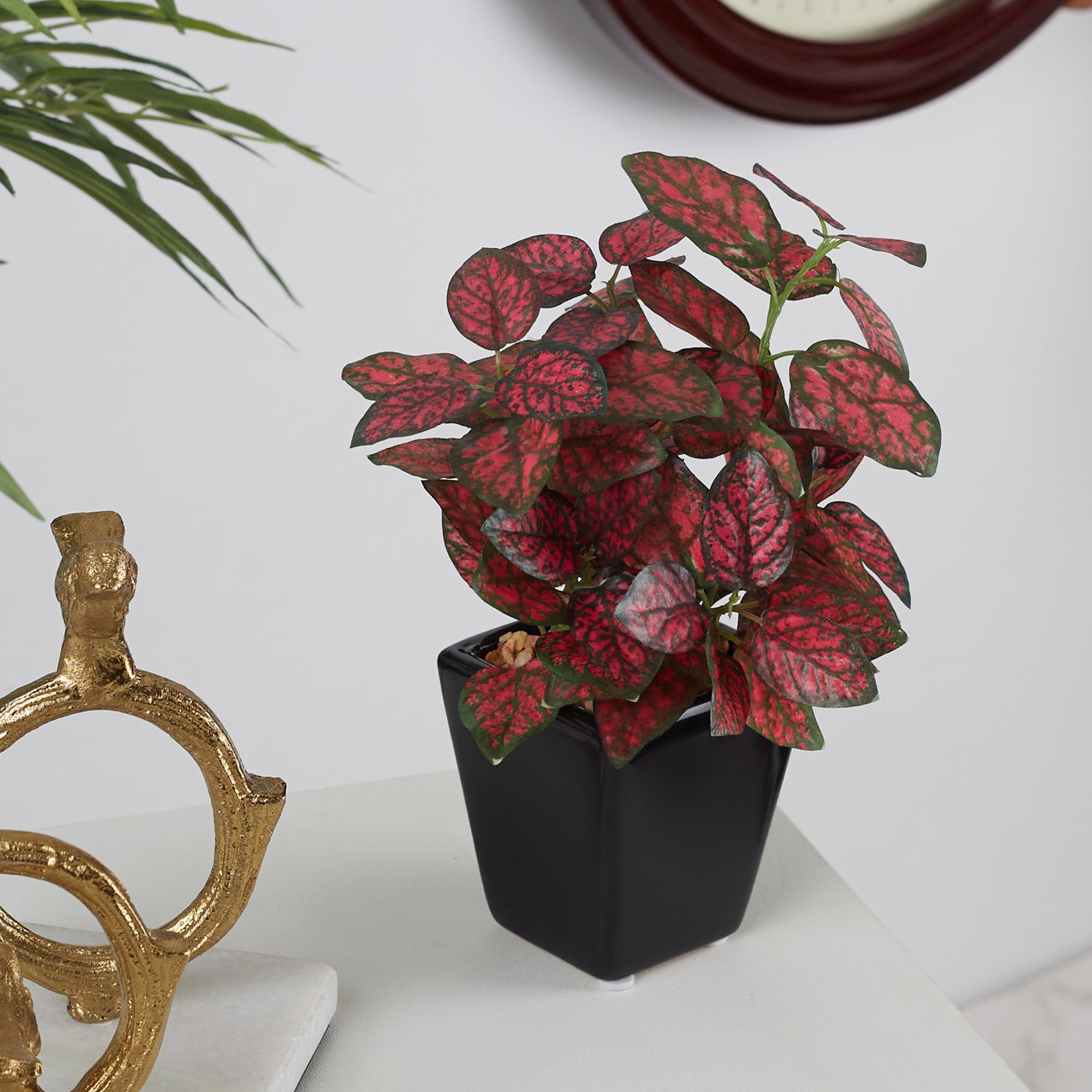 Ilana Faux Hypoestes Ceramic Potted Plant 19 Cm in Red Colour