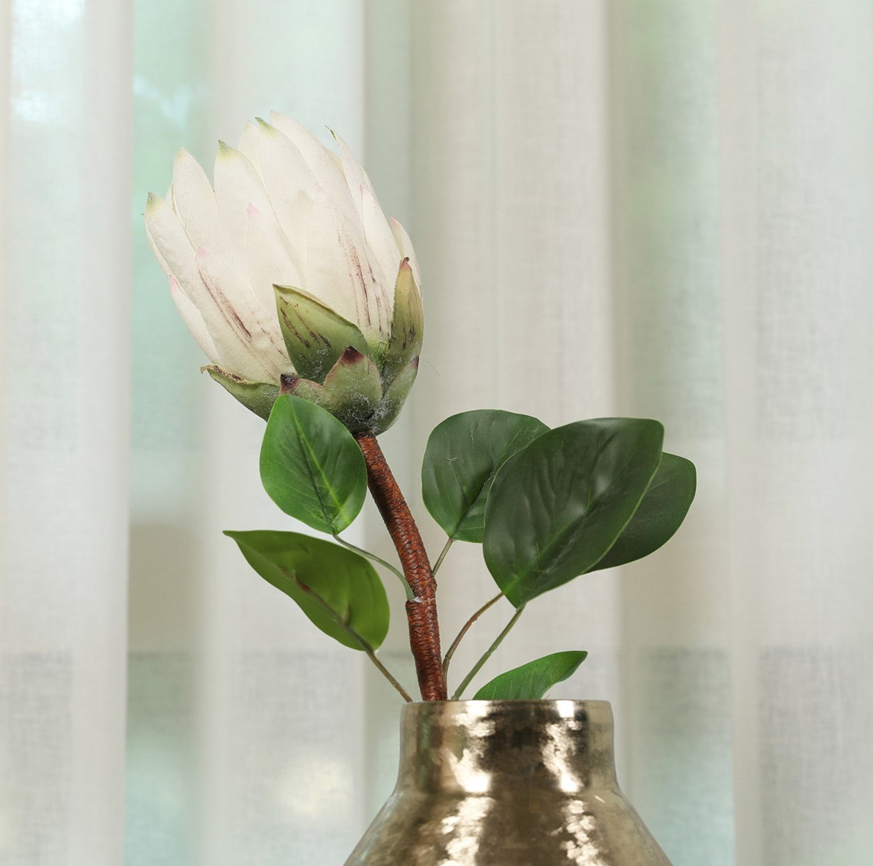 Blume Artificial Flower Protea Stem 66cm in White Colour By Living Essence