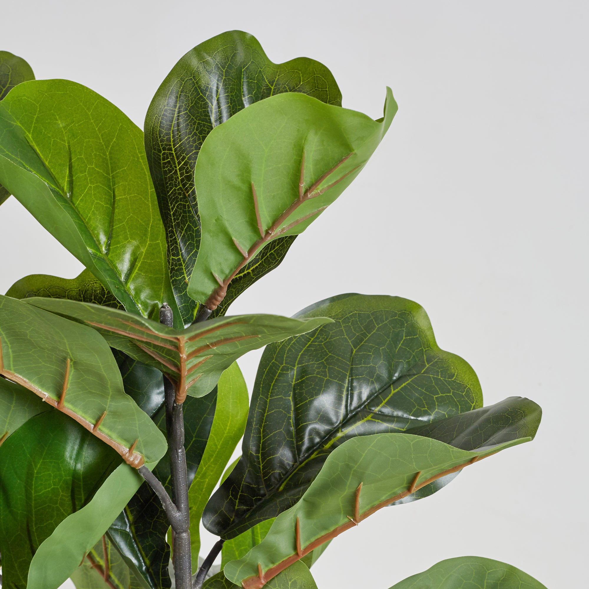 Ilana Artificial Fiddle Potted Plant 90Cm in Green Colour