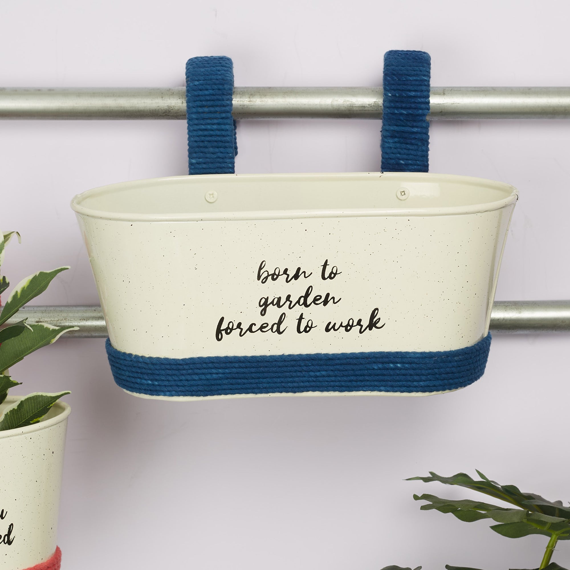 Pep Pop Metal Funky Quote Railing Planter 28X19Cm in Off White & Indigo Colour
