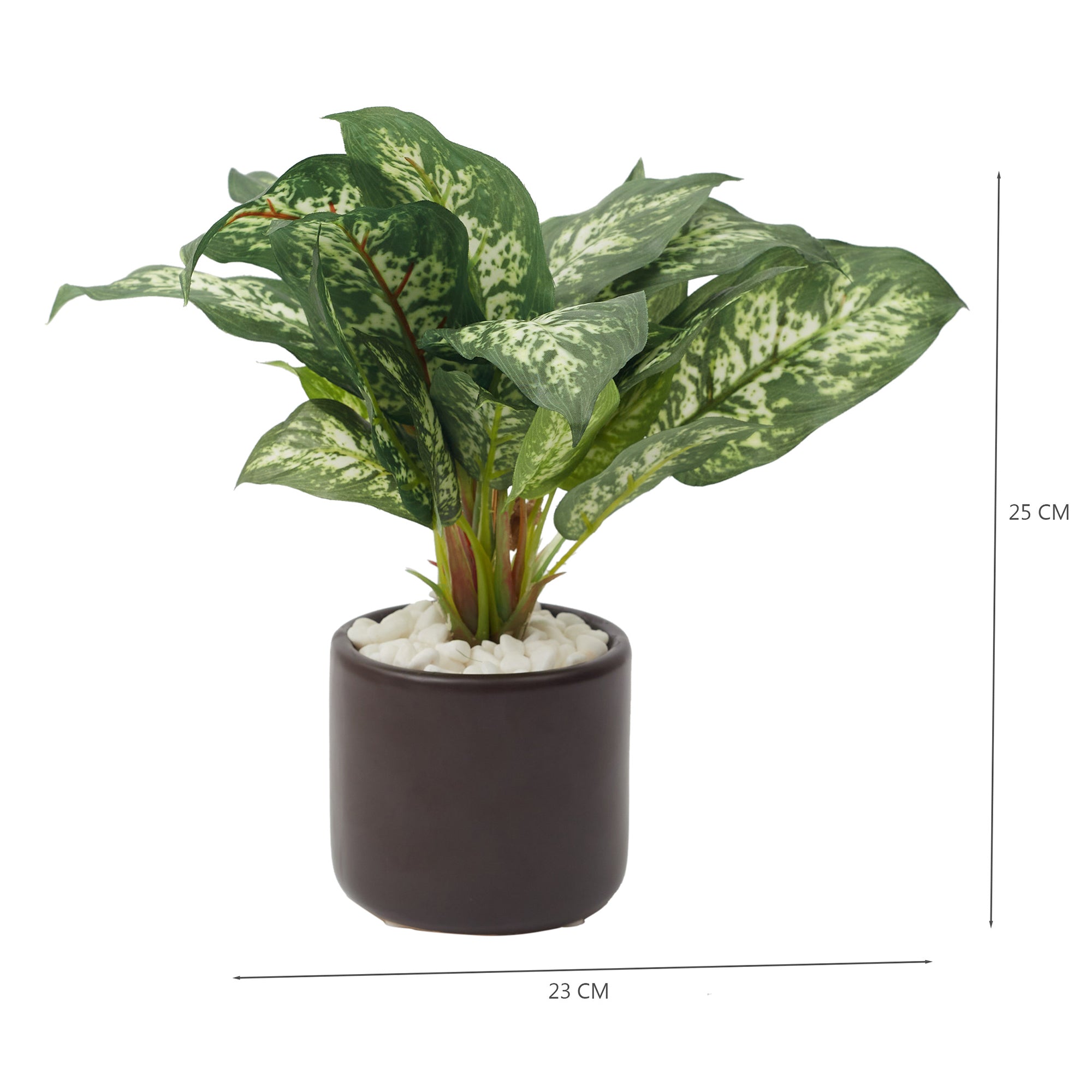 Ilana  Faux Dieffnbchia 1 Ceramic Potted Plant 25 Cm in Green Colour