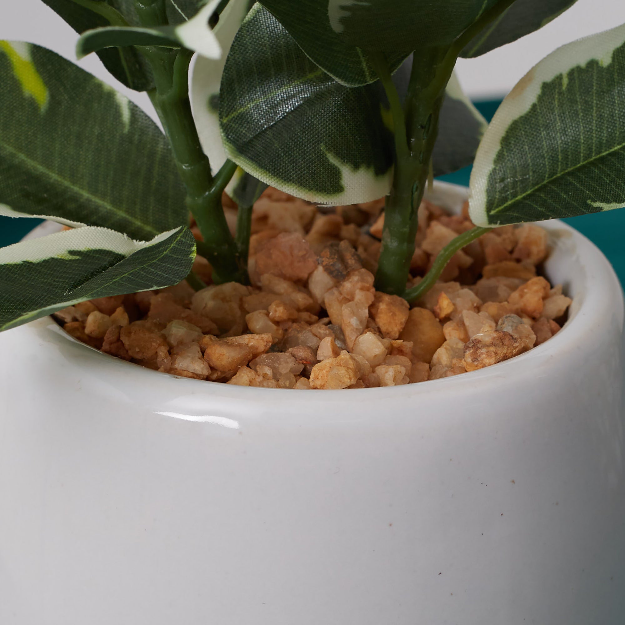 Ilana Faux Quercus Ceramic Potted Plant 23 Cm in Green Colour