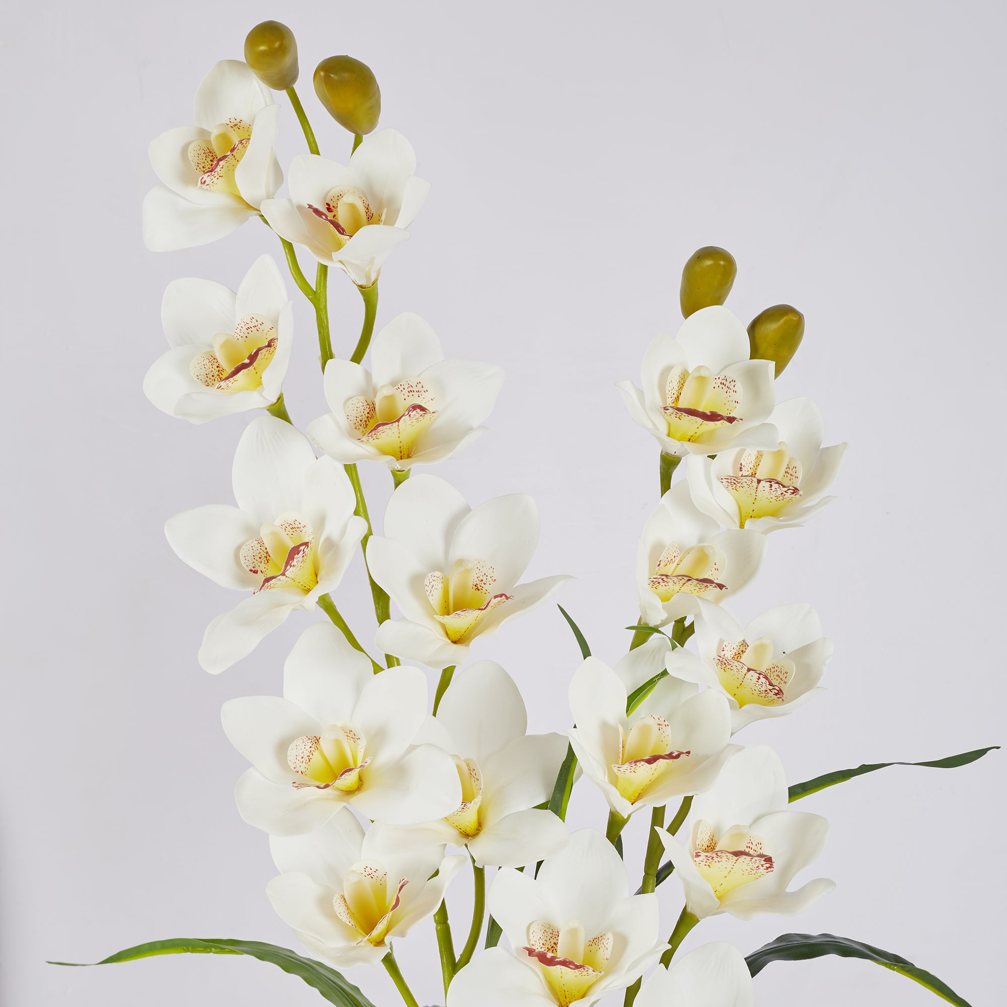 Ilana Artificial Orchid Potted Plant 90Cm in White Colour