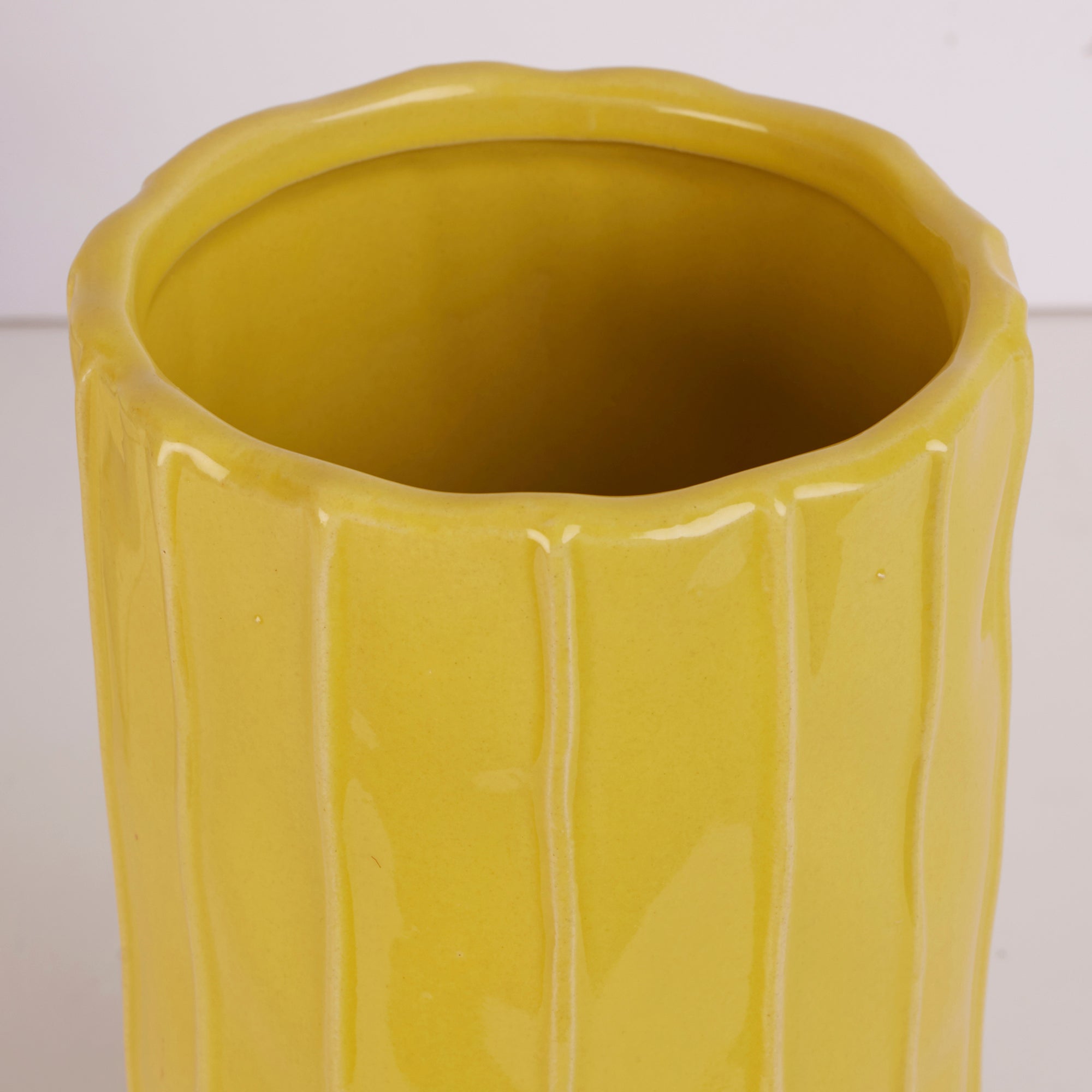 Alura Tropical Glossy Ceramic Planter 22Cm in Apple Green Colour