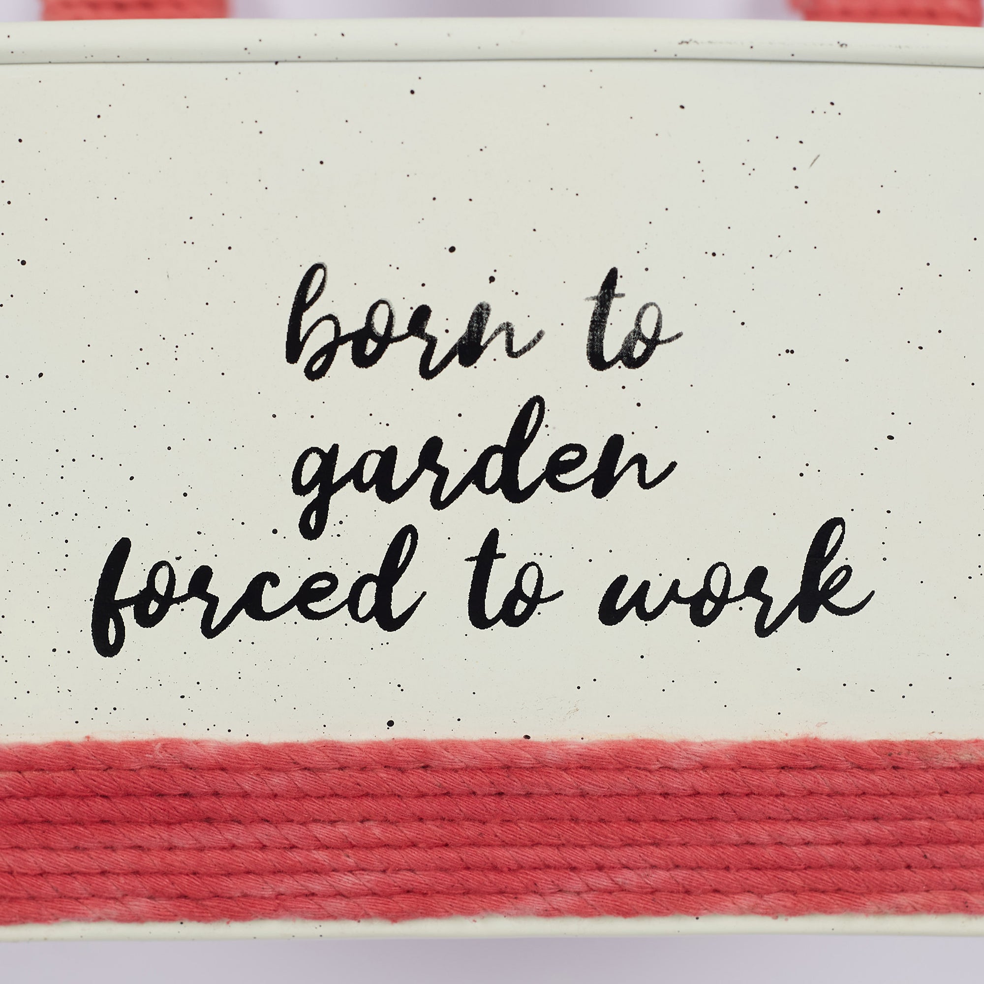Pep Pop Metal Funky Quote Railing Planter 28X19Cm in Off White & Fuchsia Colour
