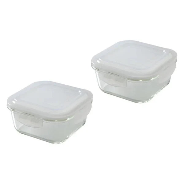 Borosil Daisy Lunch Box Set Of 4