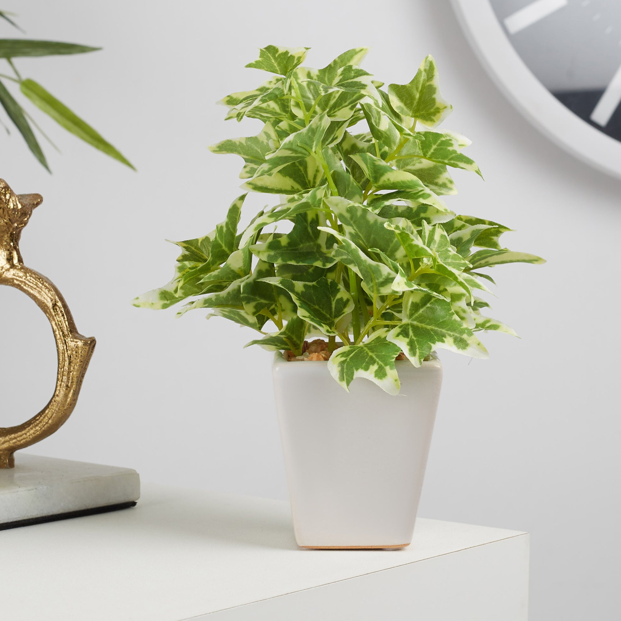 Ilana Faux Holland Ivy Ceramic Potted Plant 19 Cm in Green Colour
