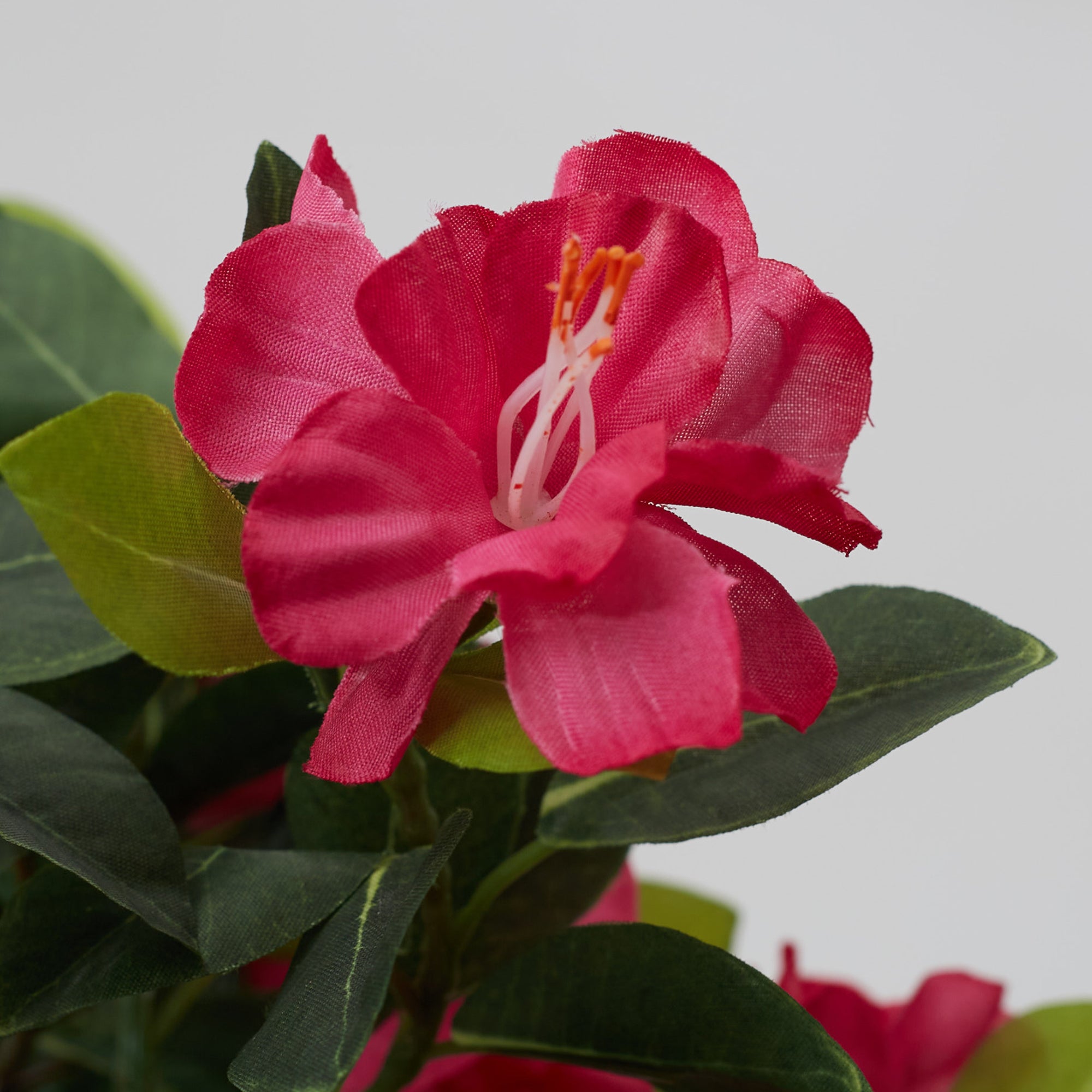 Ilana  Faux Rhodendendron Ceramic Potted Plant 43 Cm in Pink Colour