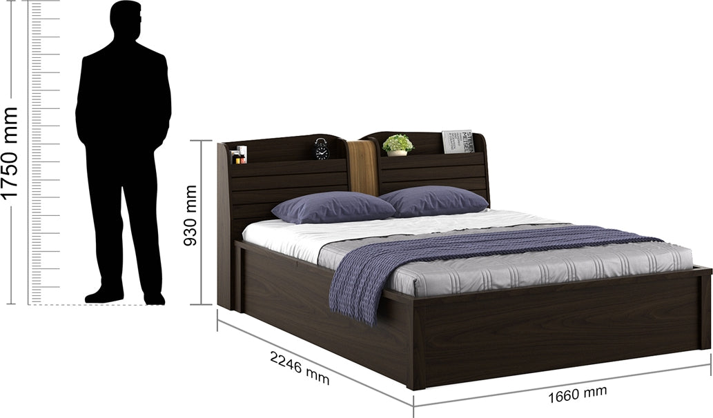 Magnum Engineered Wood Queen Bed with Hydraulic Storage in Urban Walnut Colour