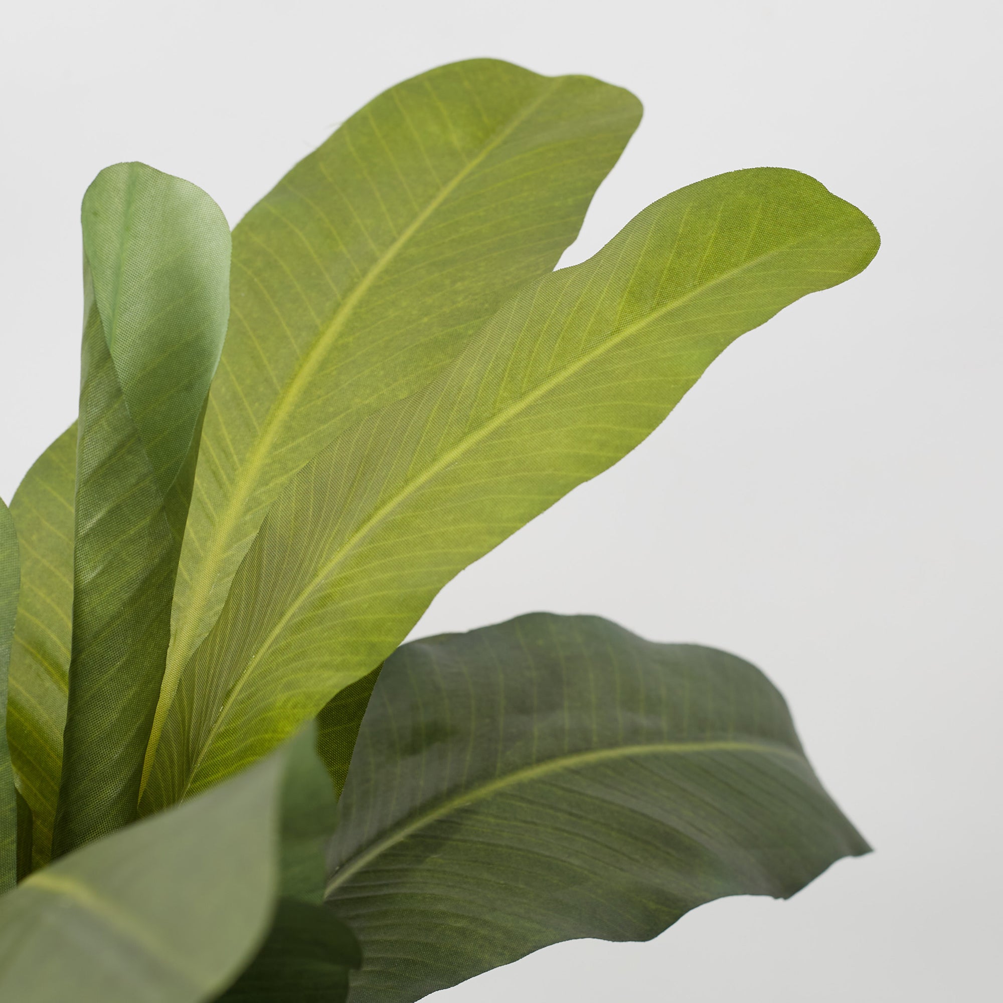 Ilana Faux Banana Ceramic Potted Plant 76 Cm in Green Colour