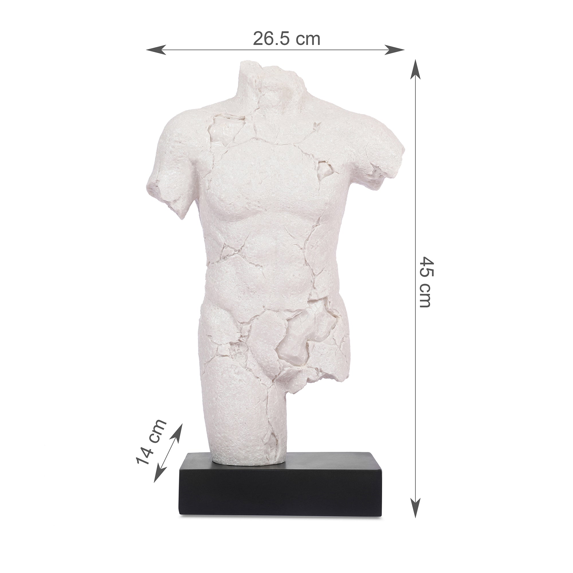 Miraya Human Torso Polyresin Figurine White 45cm by Living Essence