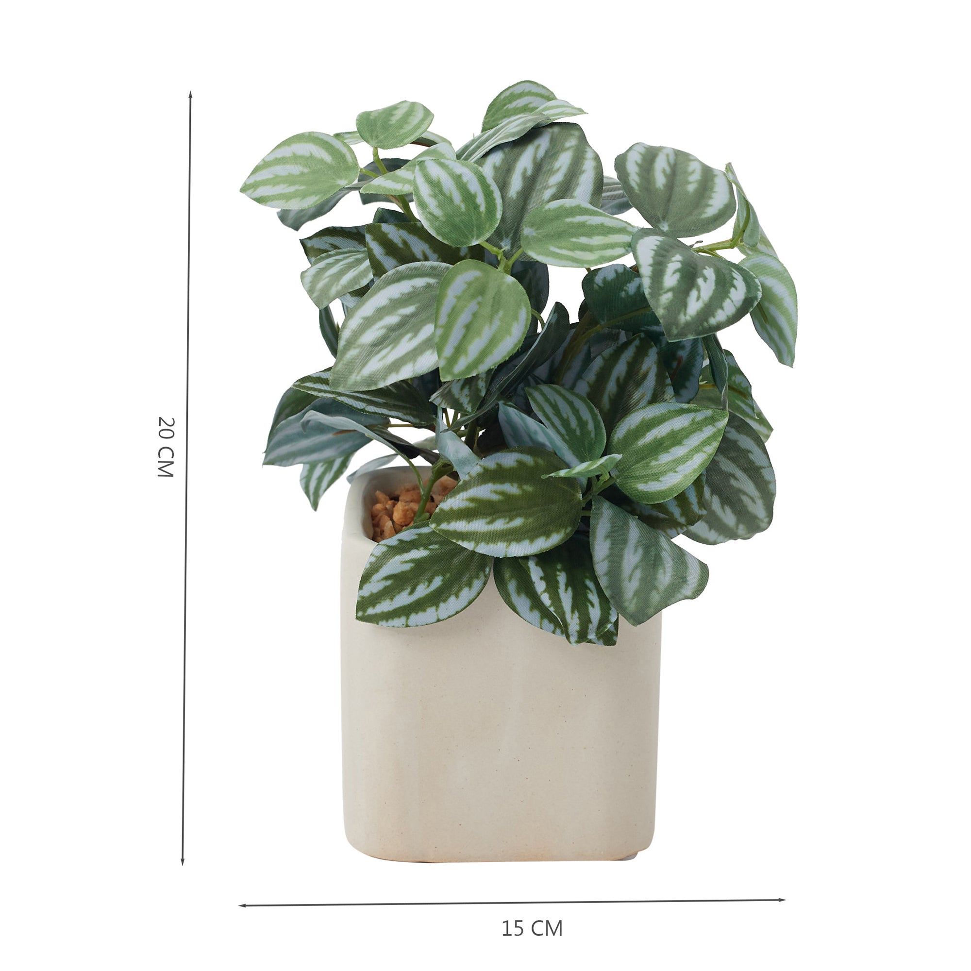 Ilana Faux Peperomia Ceramic Potted Plant 20 Cm in Green Colour