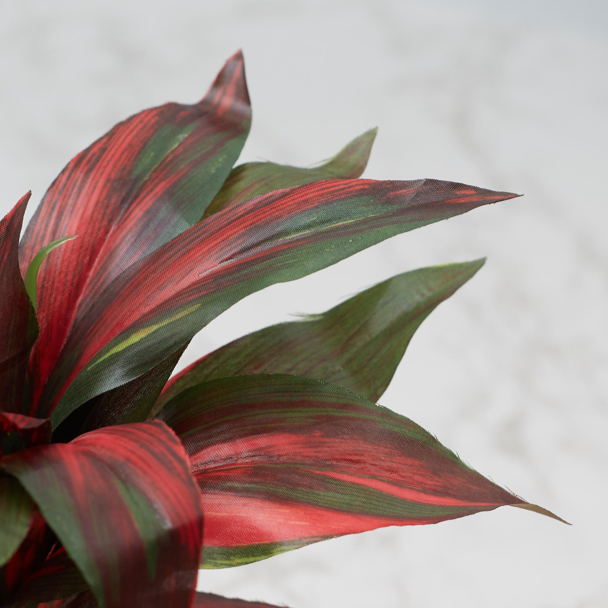 Ilana Faux Dracaena Ceramic Potted Plant 21 Cm in Green Colour