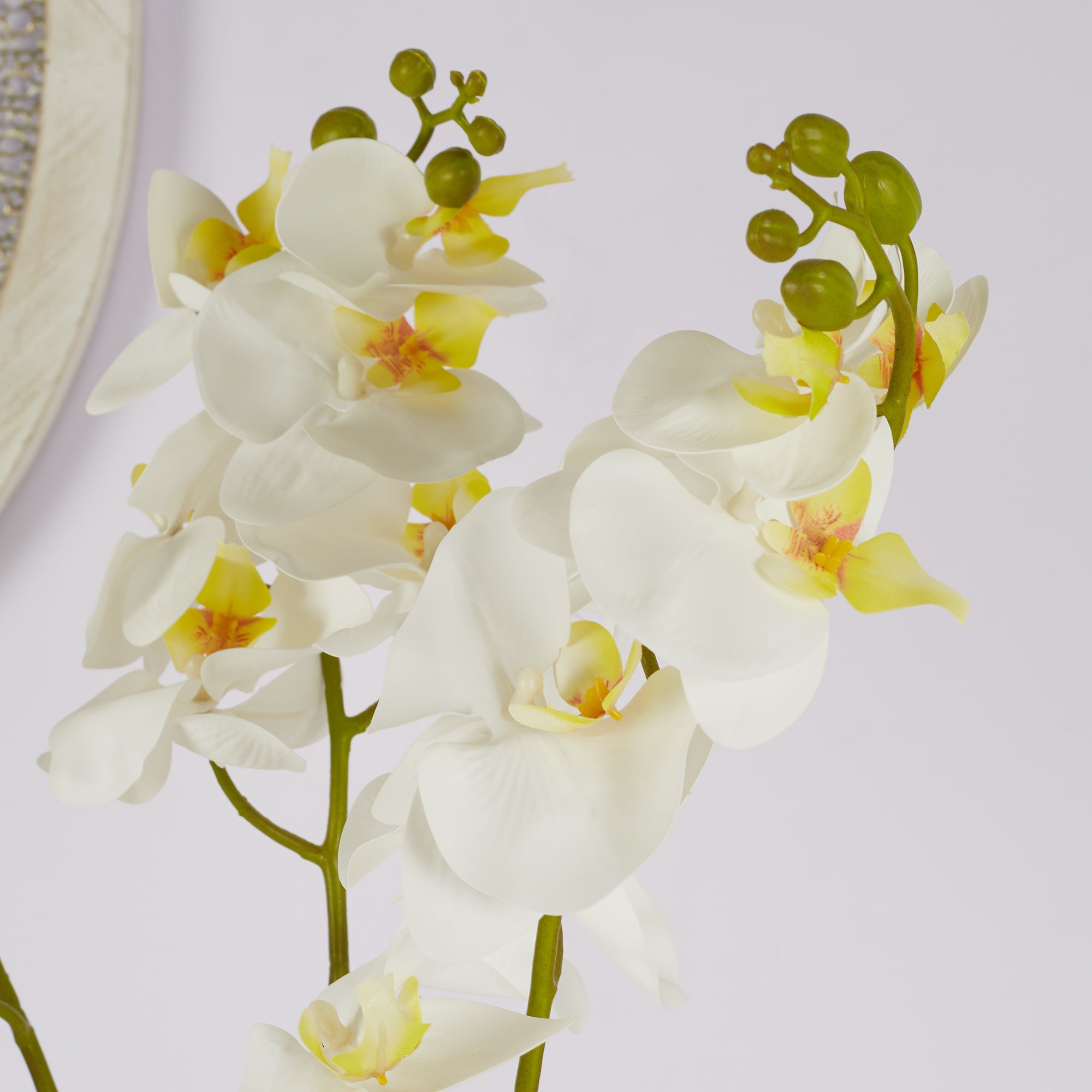 Ilana Artificial Orchid Potted Plant 55Cm in White Colour