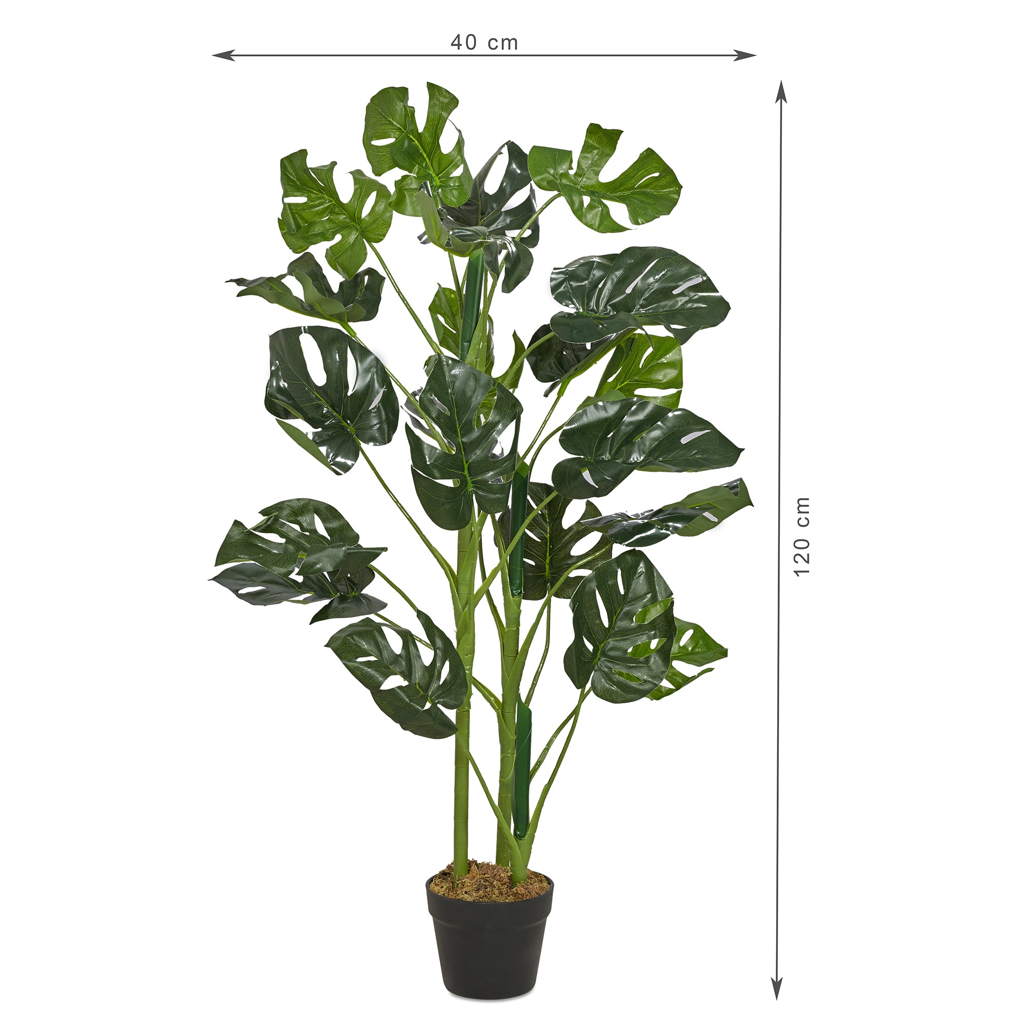 Ilana Artificial Monstera Potted Plant 120Cm in Green Colour