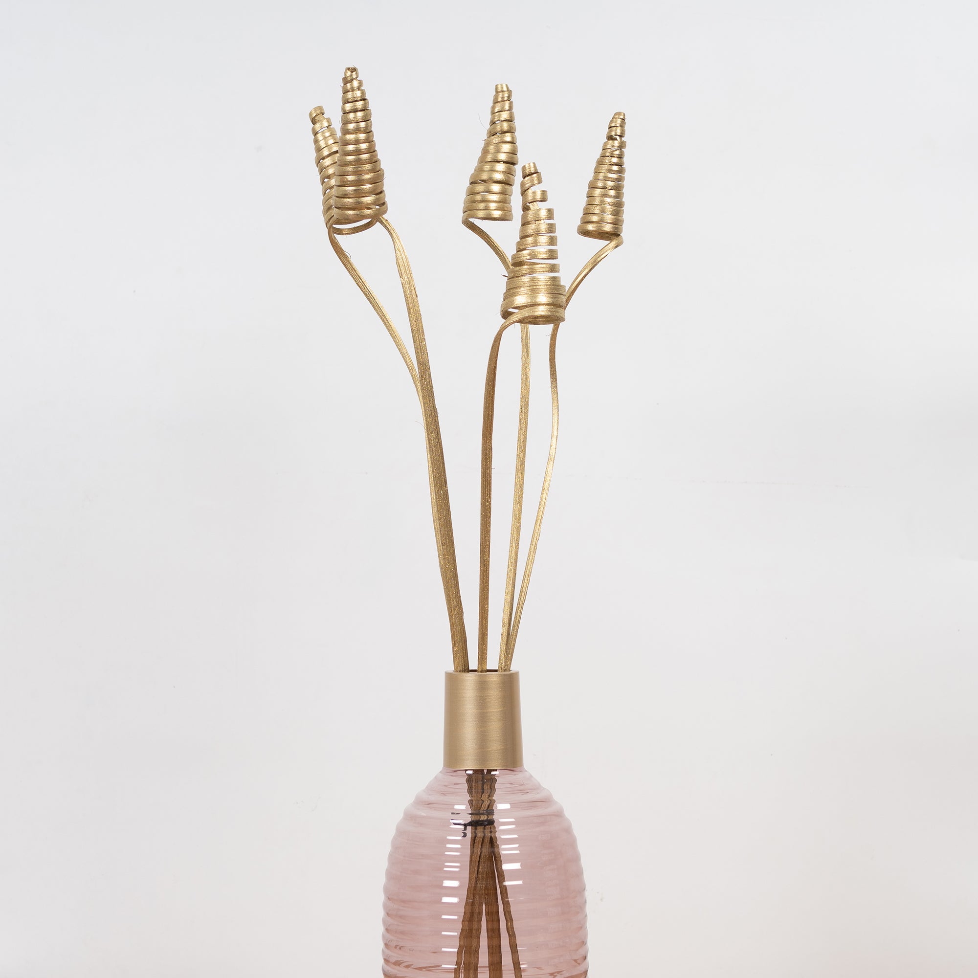 Fleur Dried Jumbo Cone Sticks 70Cm in Gold Colour