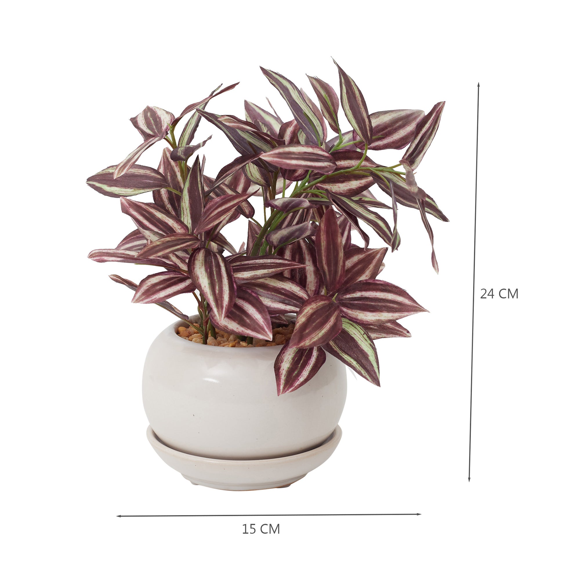 Ilana  Faux Wandering Jew Ceramic Potted Plant 24 Cm in Green Colour