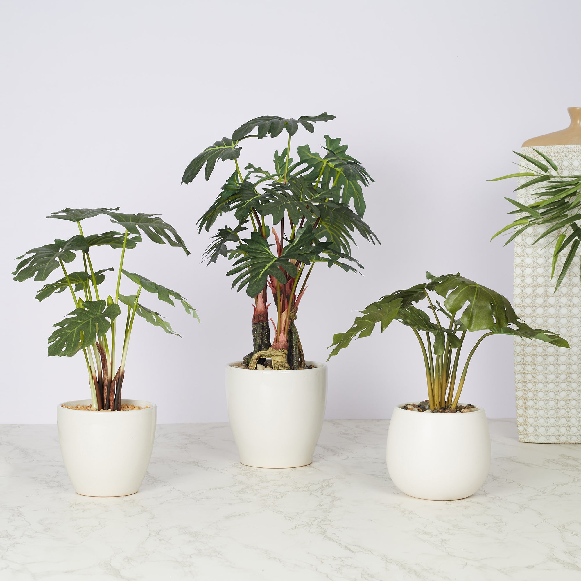 Ilana Faux Philodendron Ceramic Potted Plant 42 Cm in Green Colour