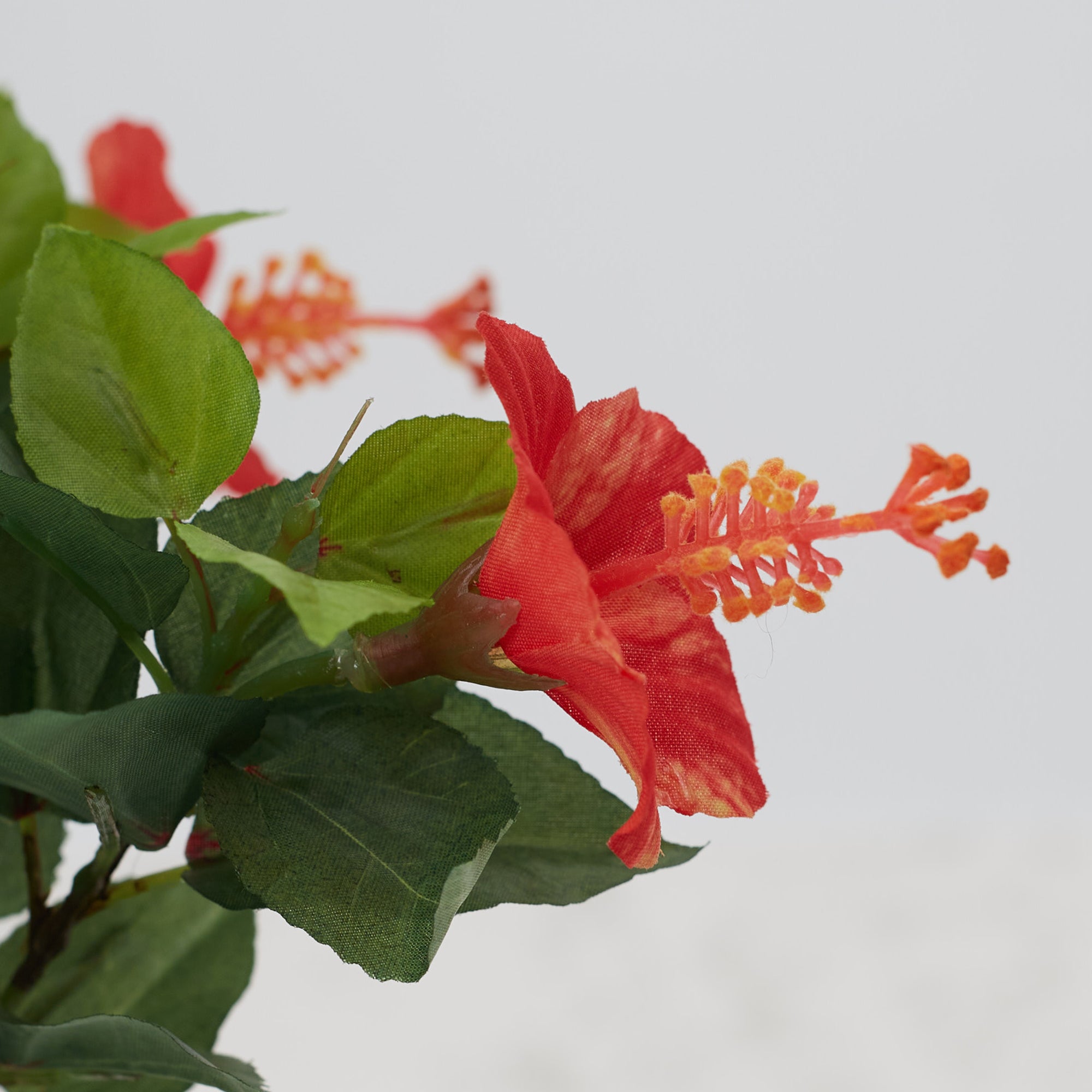 Ilana Faux Hibiscus Ceramic Potted Plant 43 Cm in Pink Colour