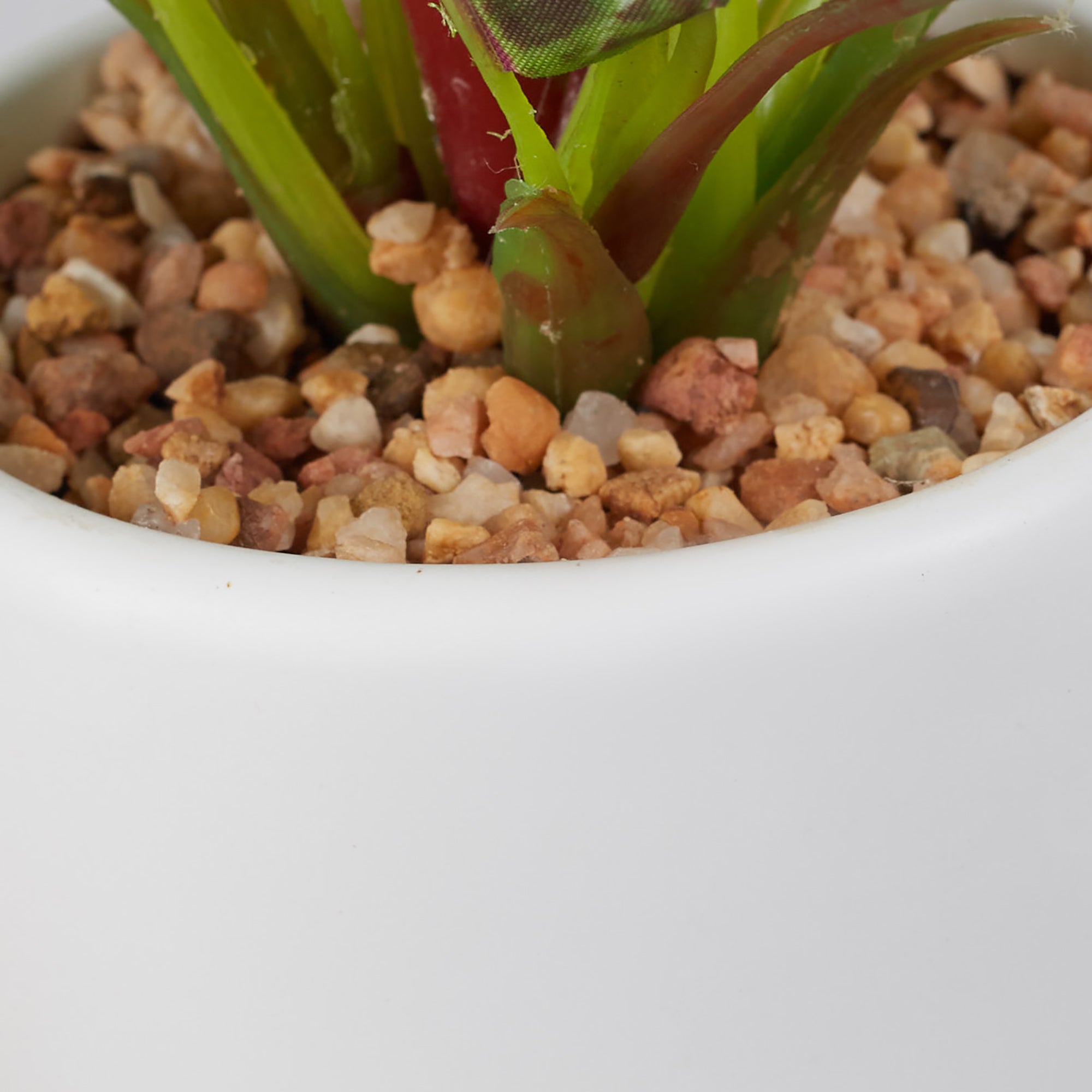 Ilana Faux Calathea Ceramic Potted Plant 25 Cm in Green Colour