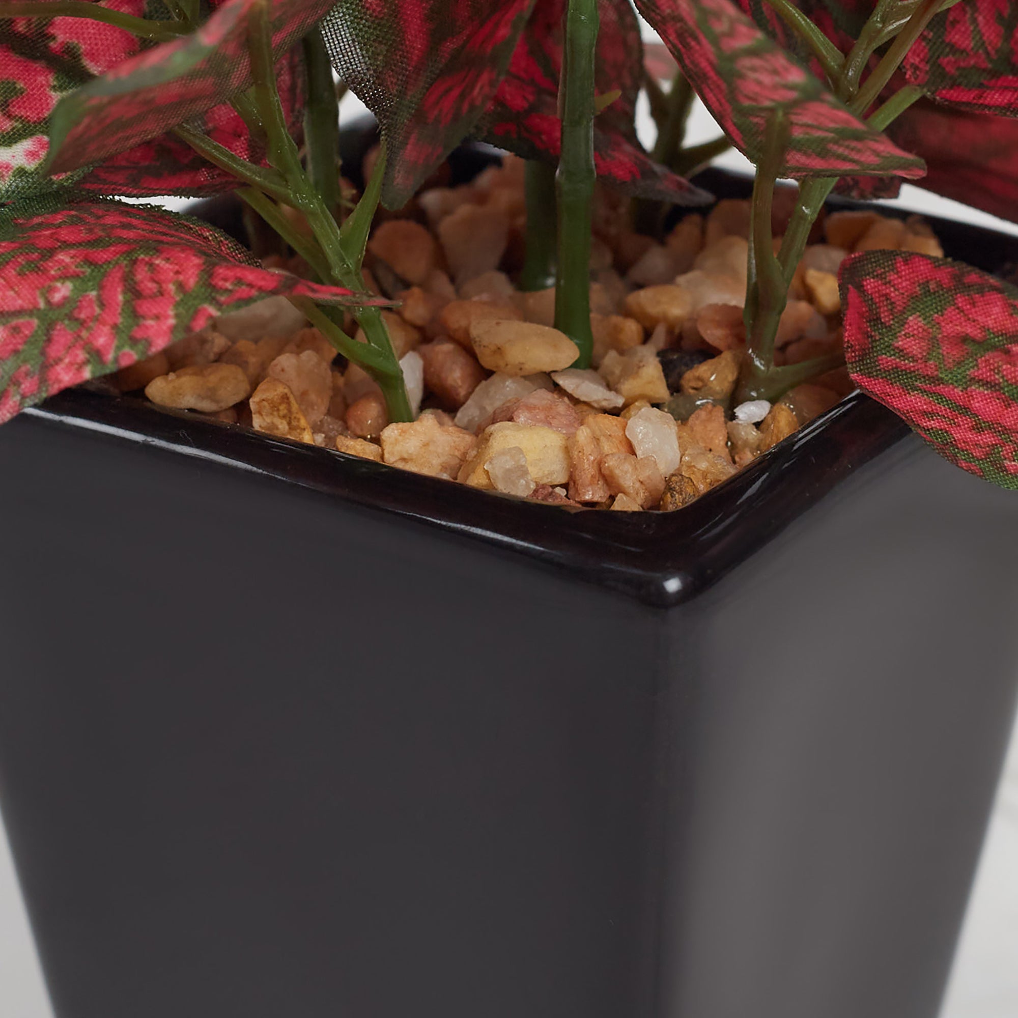 Ilana Faux Hypoestes Ceramic Potted Plant 19 Cm in Red Colour
