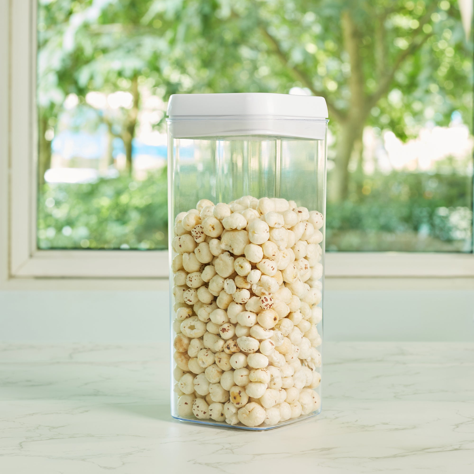 Robusto BPA Free Easy Lock Square Container 3100ml in Transparent & White Colour