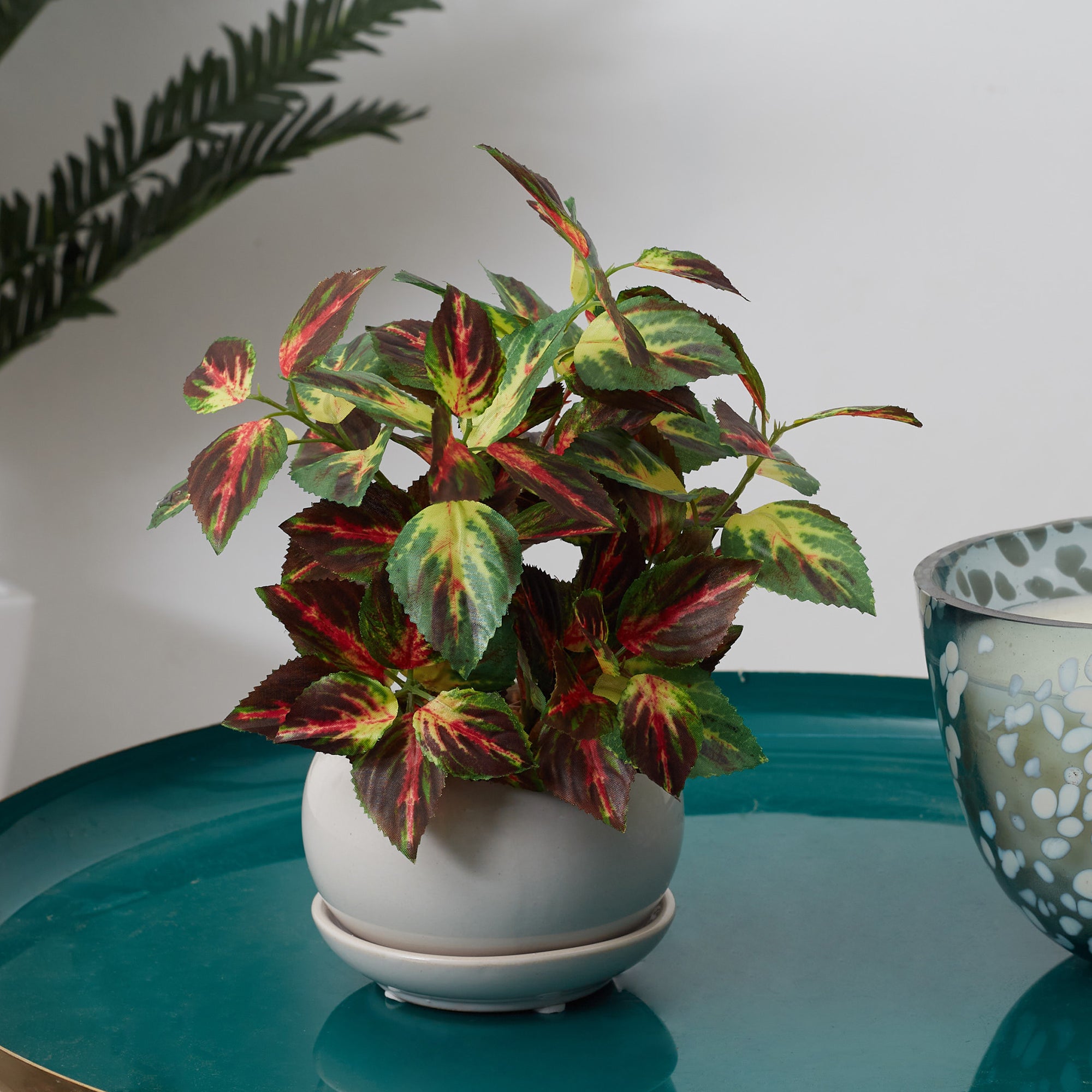 Ilana Faux Coleus Ceramic Potted Plant 24 Cm in Green Colour