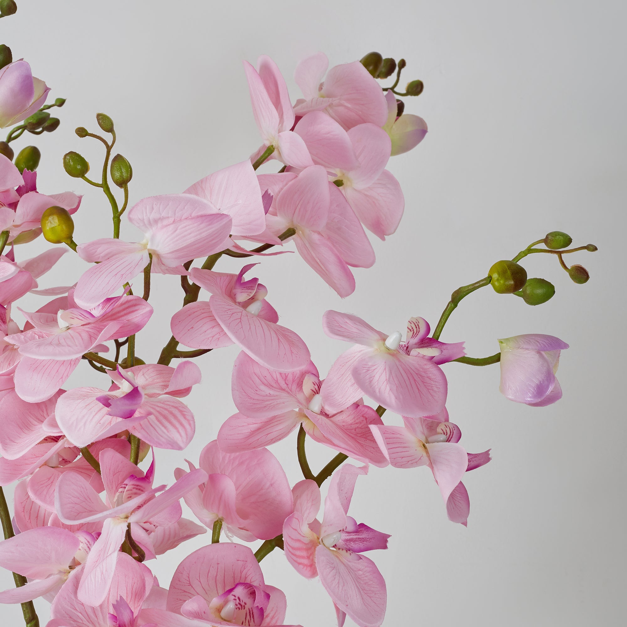 Ilana Artificial Orchid Potted Plant 75Cm in Pink Colour