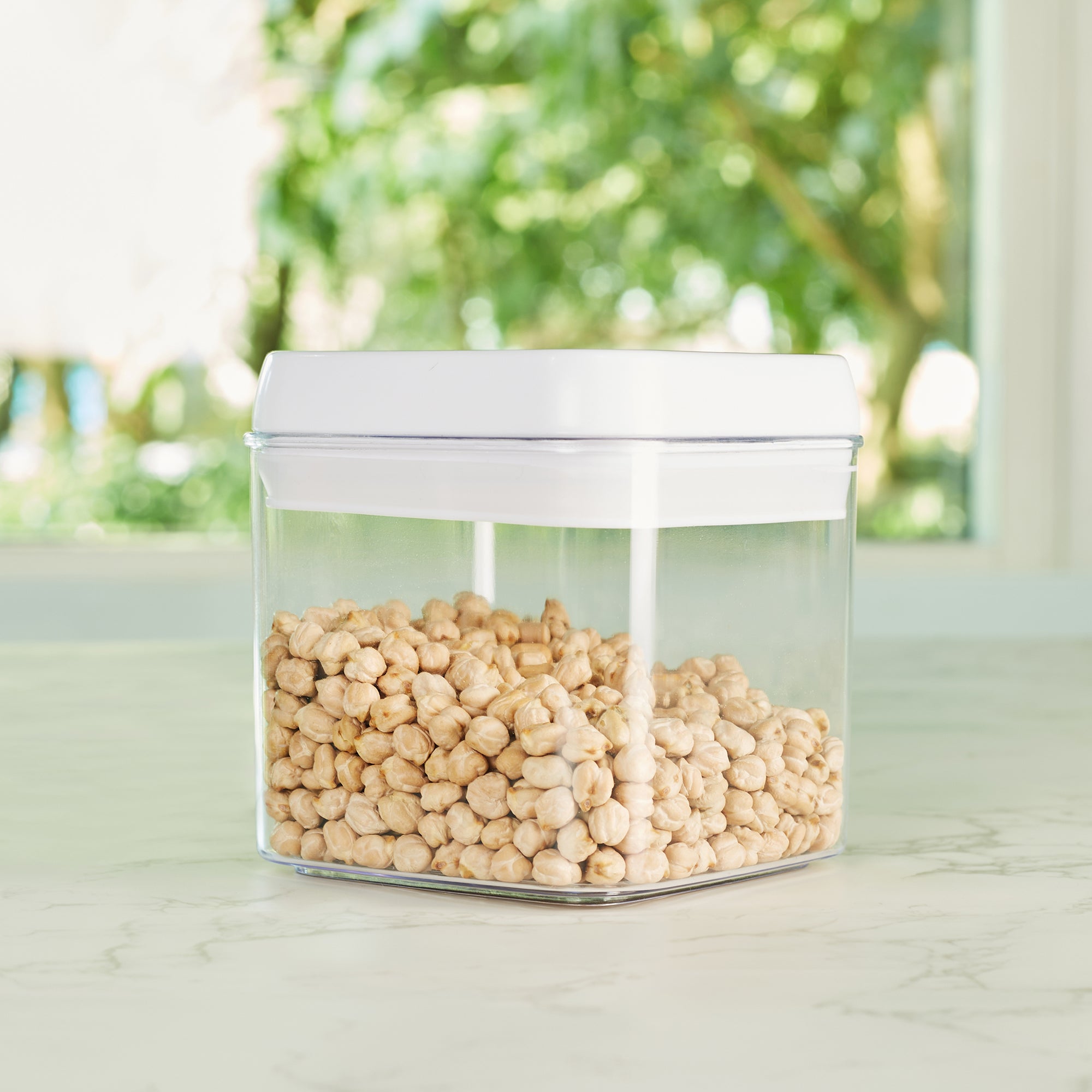 Robusto BPA Free Easy Lock Square Container 1000ml in Transparent & White Colour