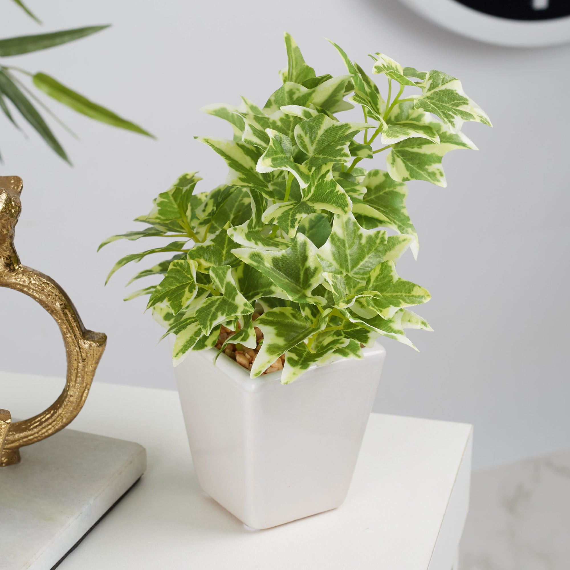 Ilana Faux Holland Ivy Ceramic Potted Plant 19 Cm in Green Colour