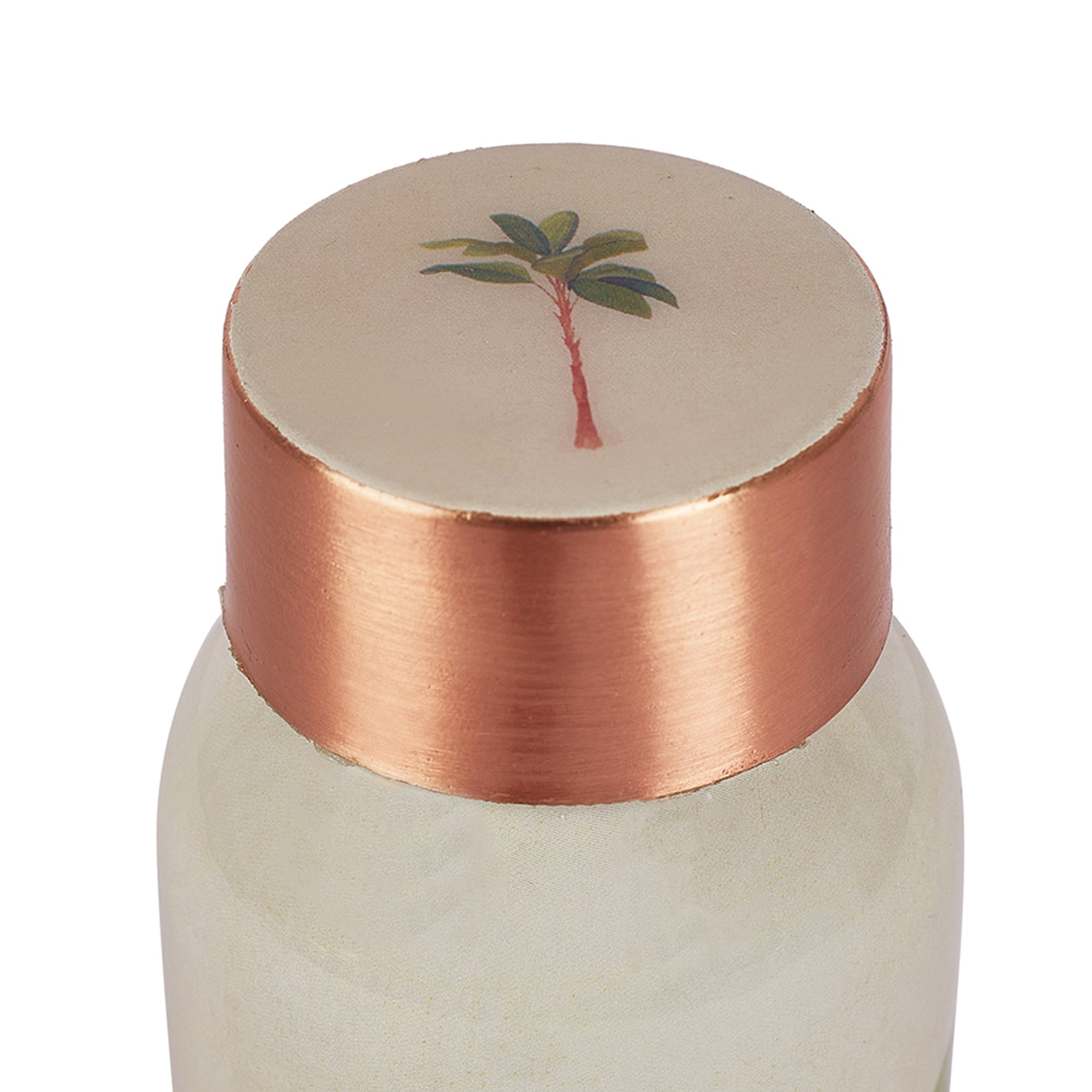 Oasis Copper Copper Bottle 500ml in Multi Colour