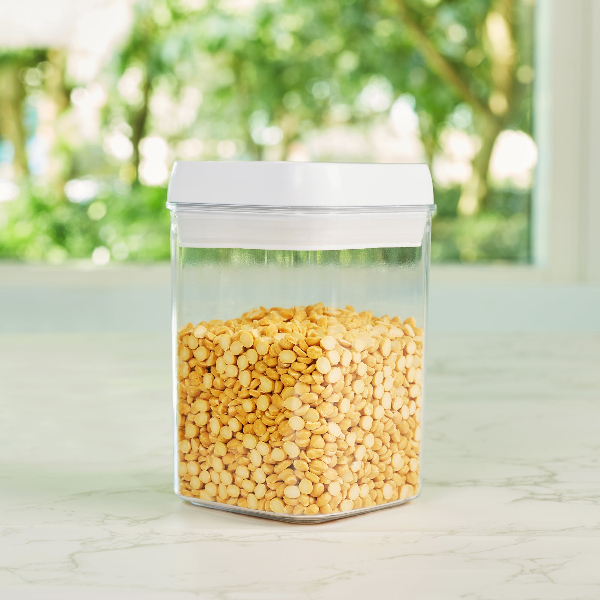 Robusto BPA Free Easy Lock Square Container 800ml in Transparent & White Colour
