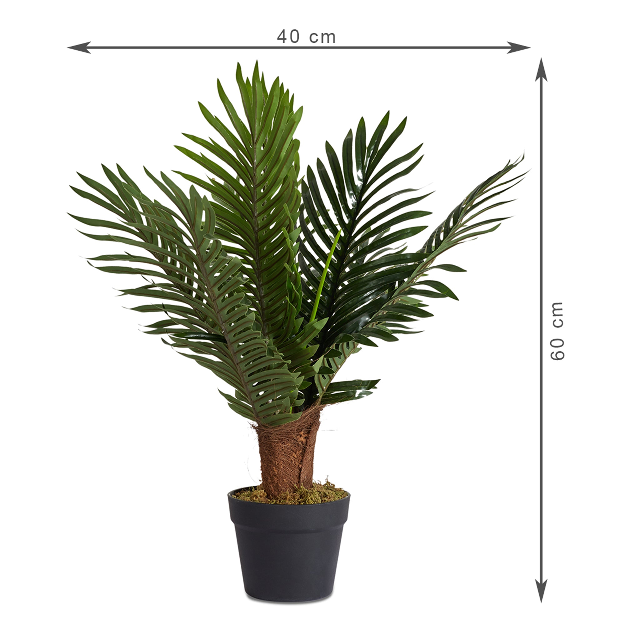 Ilana Artificial Palm Potted Tree 60Cm in Green Colour