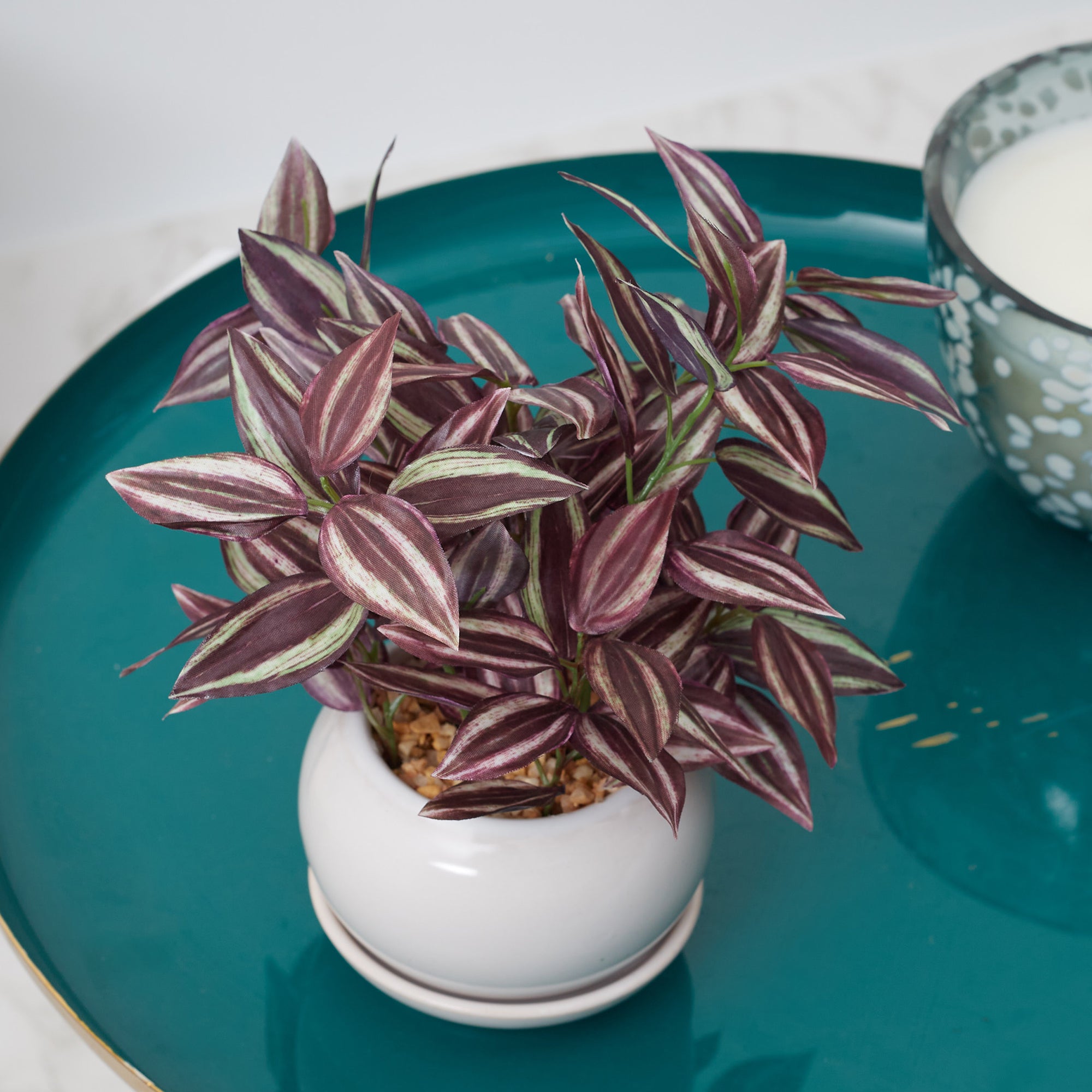 Ilana  Faux Wandering Jew Ceramic Potted Plant 24 Cm in Green Colour