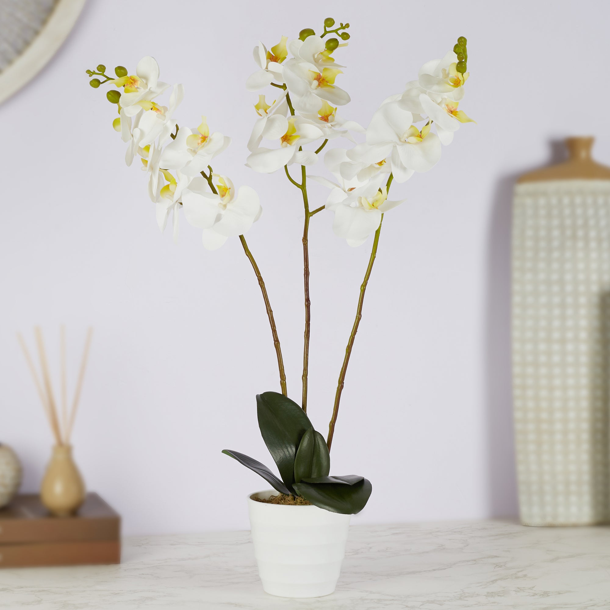 Ilana Artificial Orchid Potted Plant 55Cm in White Colour