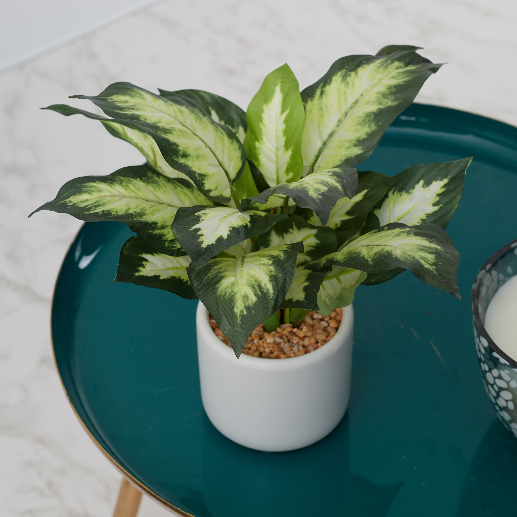 Ilana Faux Dieffnbchia 2 Ceramic Potted Plant 25 Cm in Green Colour