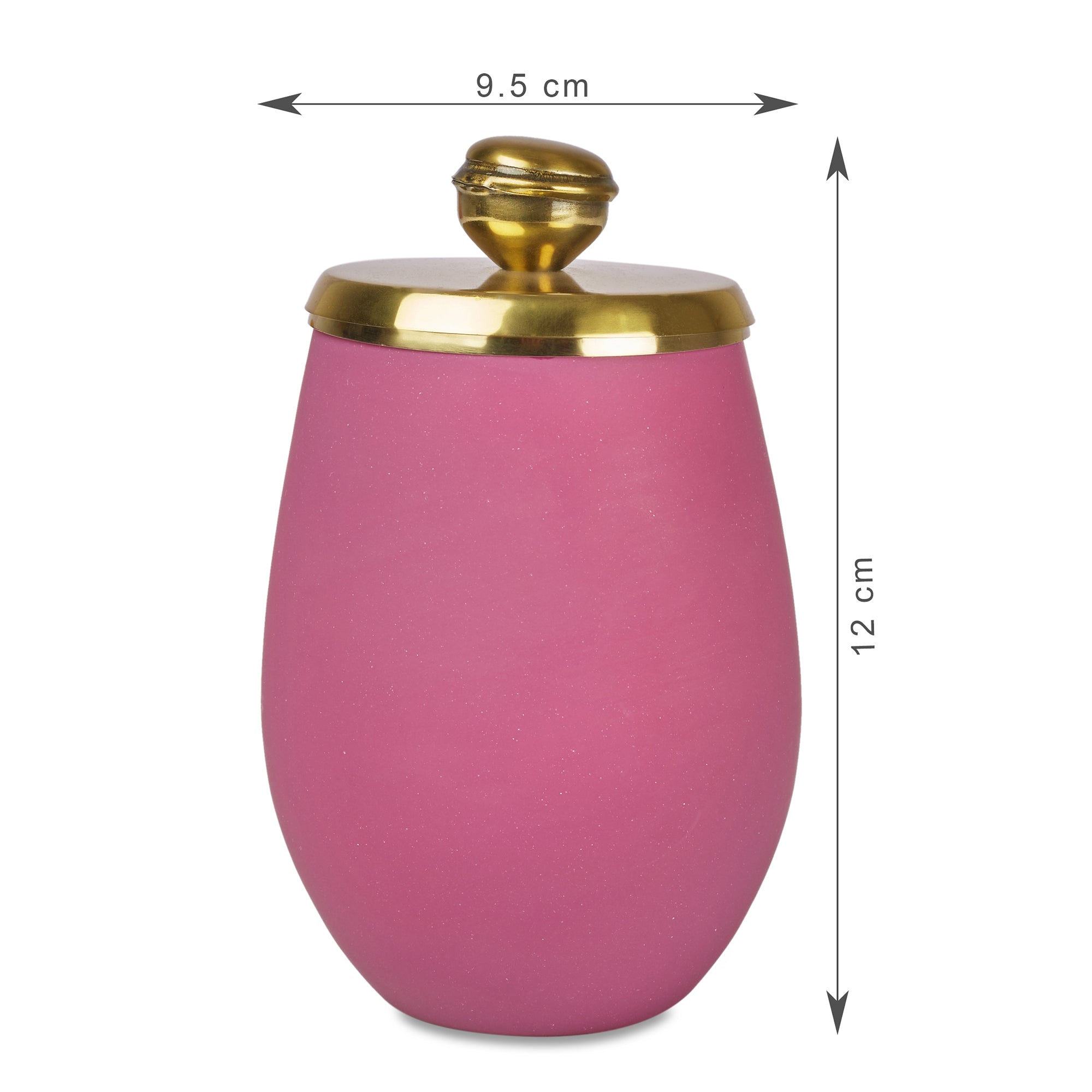 Emilia Glass Frosted Colored Tumbler in Plum Colour